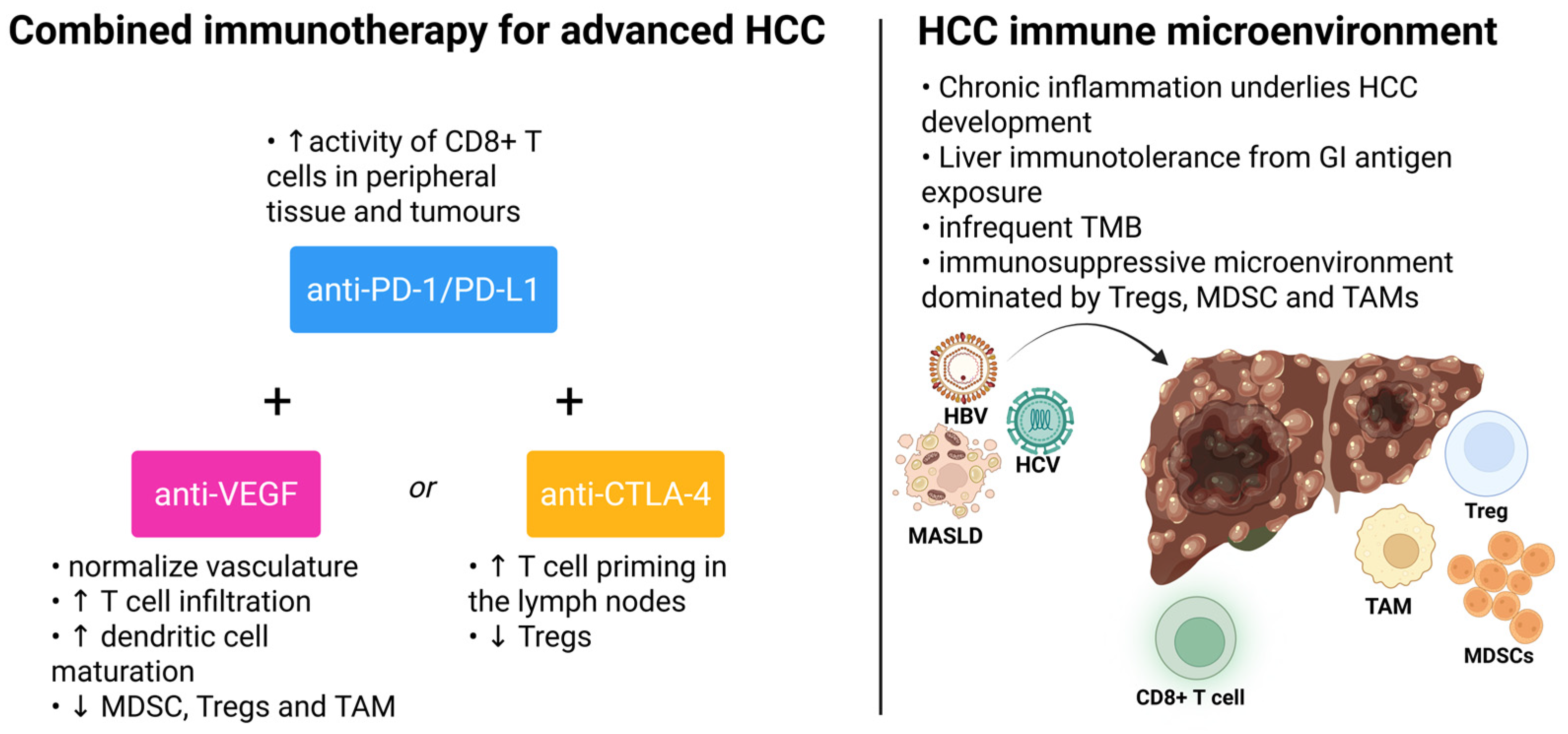 Biomedicines 13 02849 g002