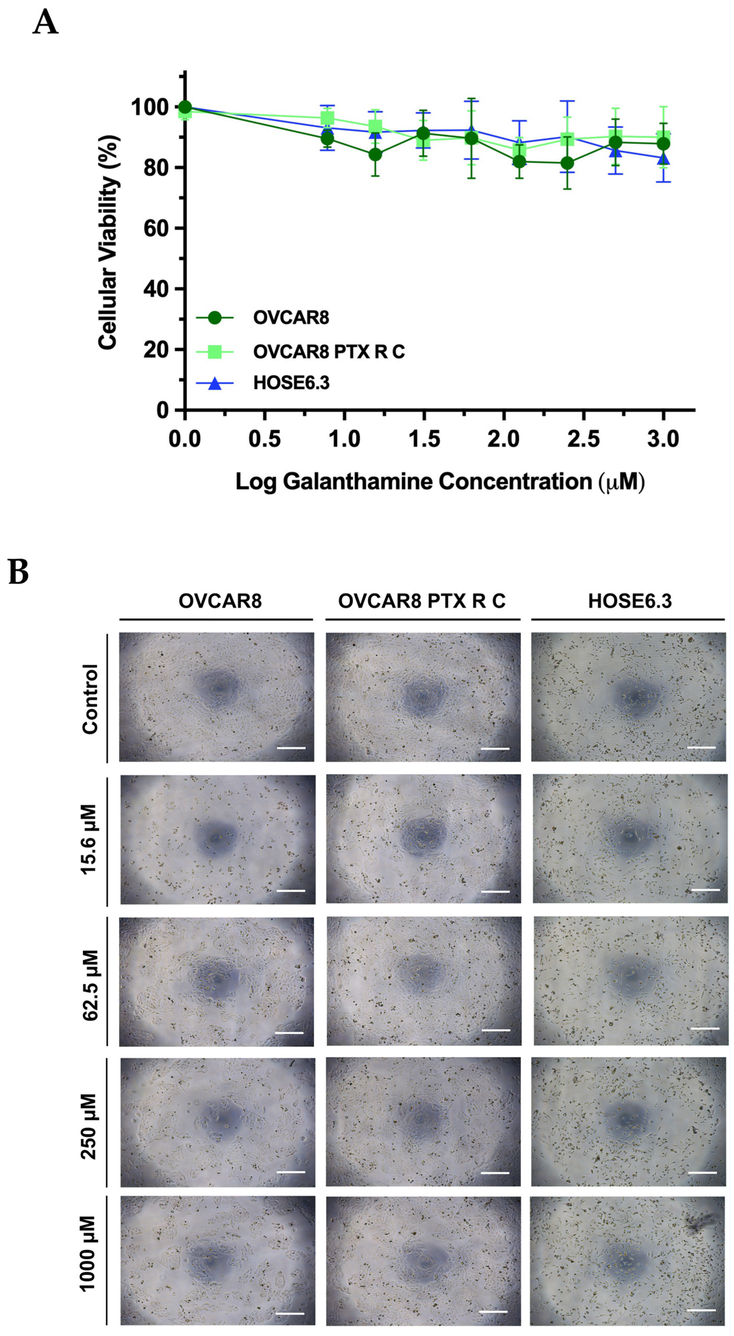 Biomedicines 13 02852 g002 Biomedicines 13 02852 g002