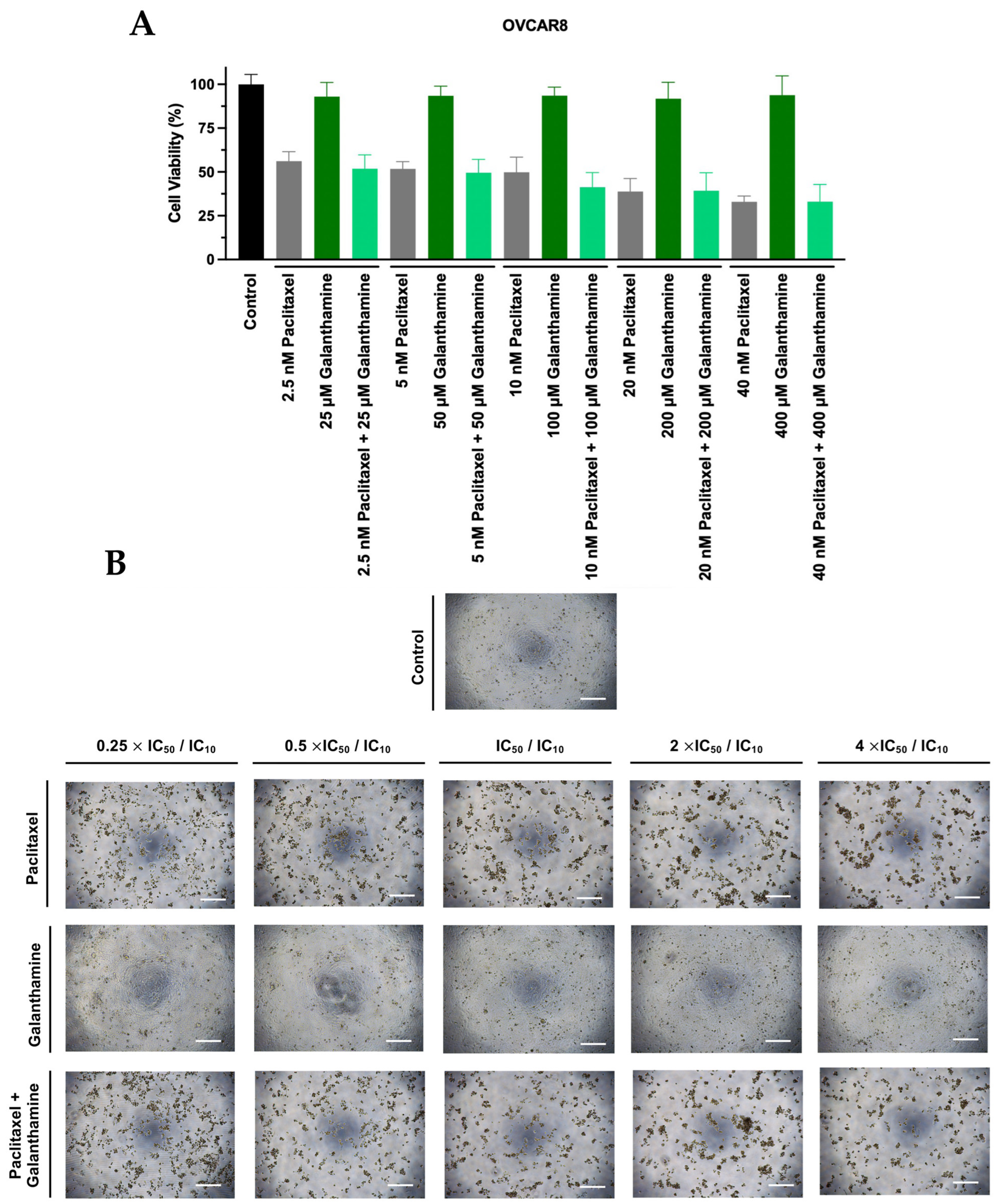 Biomedicines 13 02852 g003 Biomedicines 13 02852 g003
