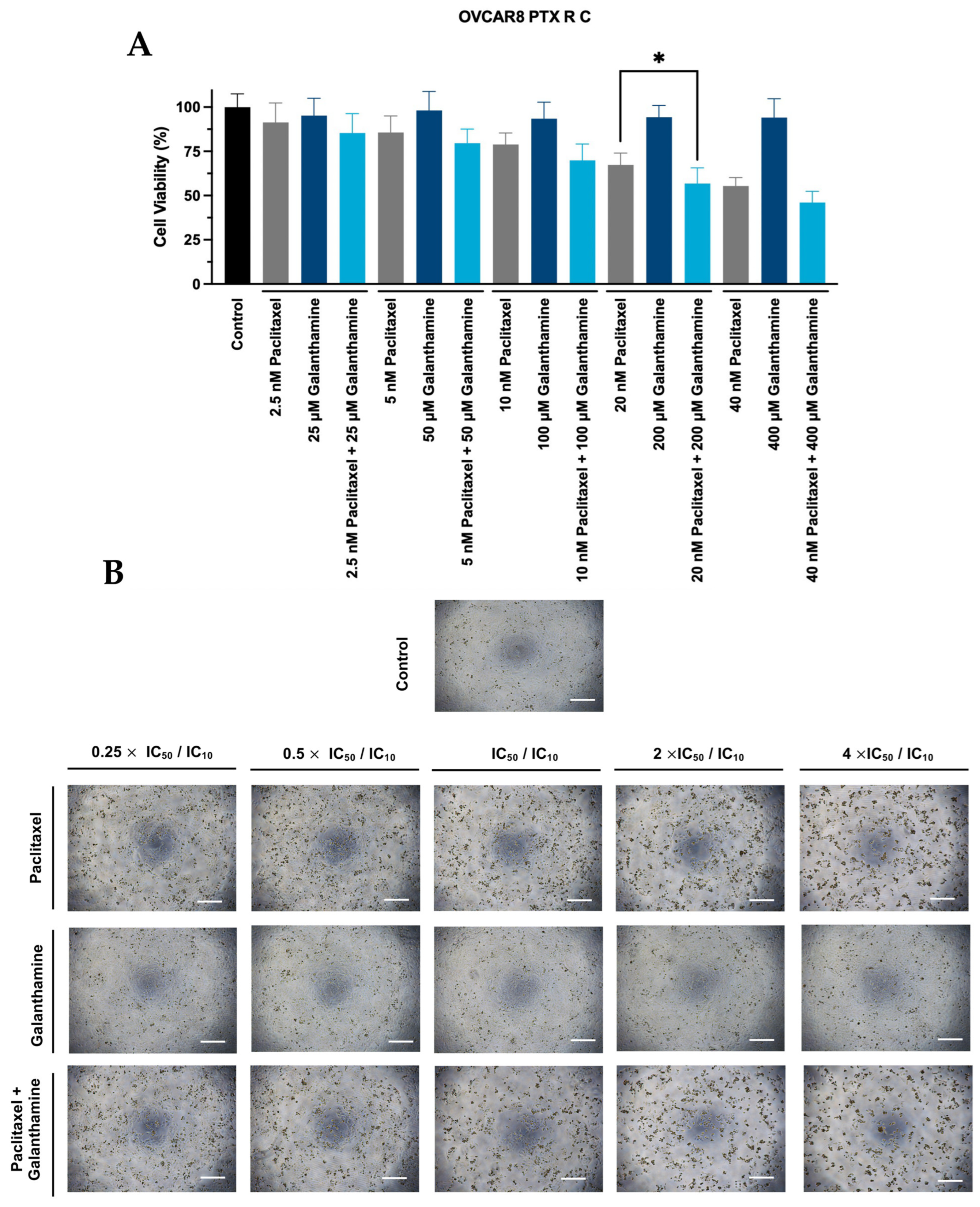 Biomedicines 13 02852 g004 Biomedicines 13 02852 g004