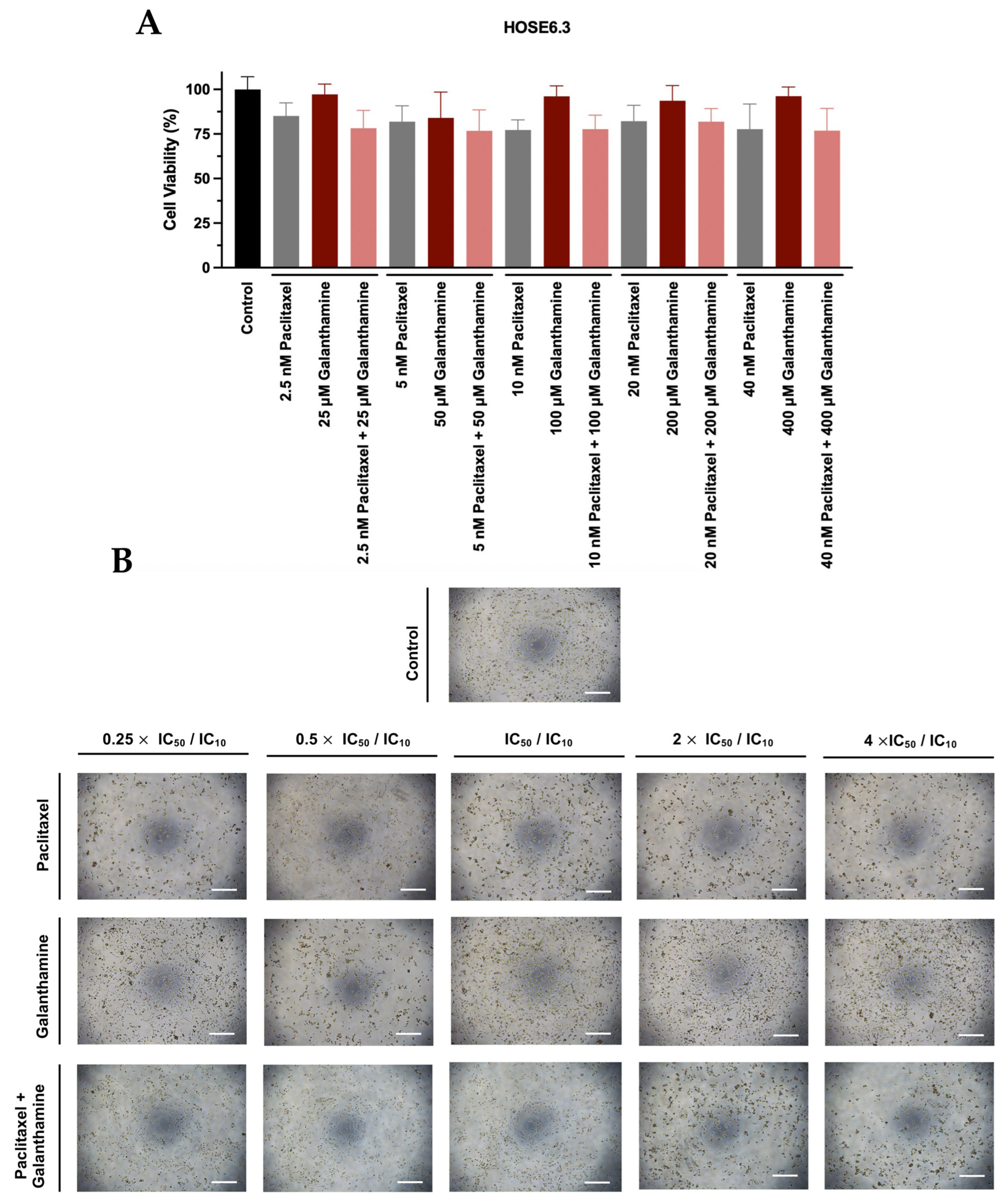 Biomedicines 13 02852 g005 Biomedicines 13 02852 g005