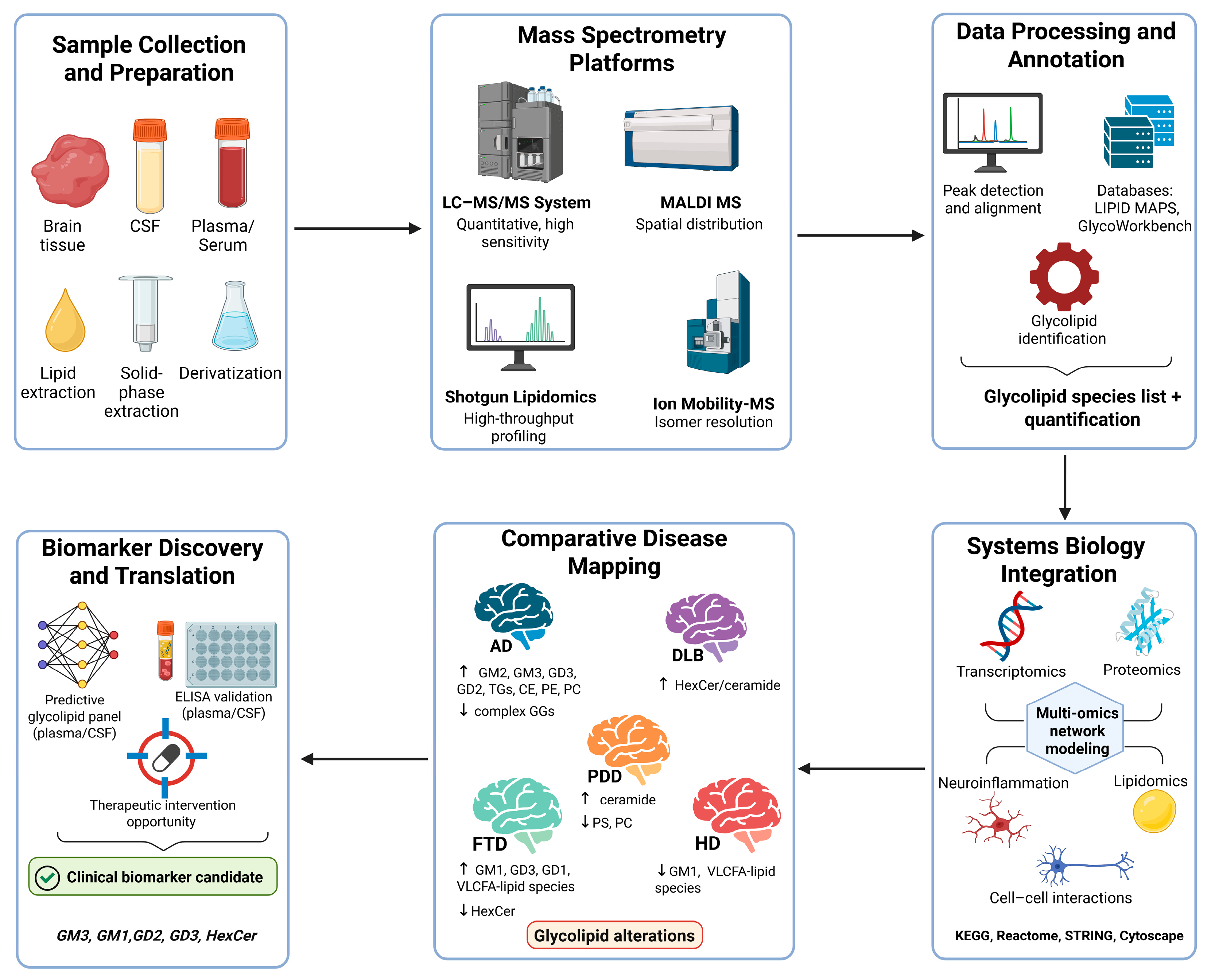 Biomedicines 13 02854 g002 Biomedicines 13 02854 g002