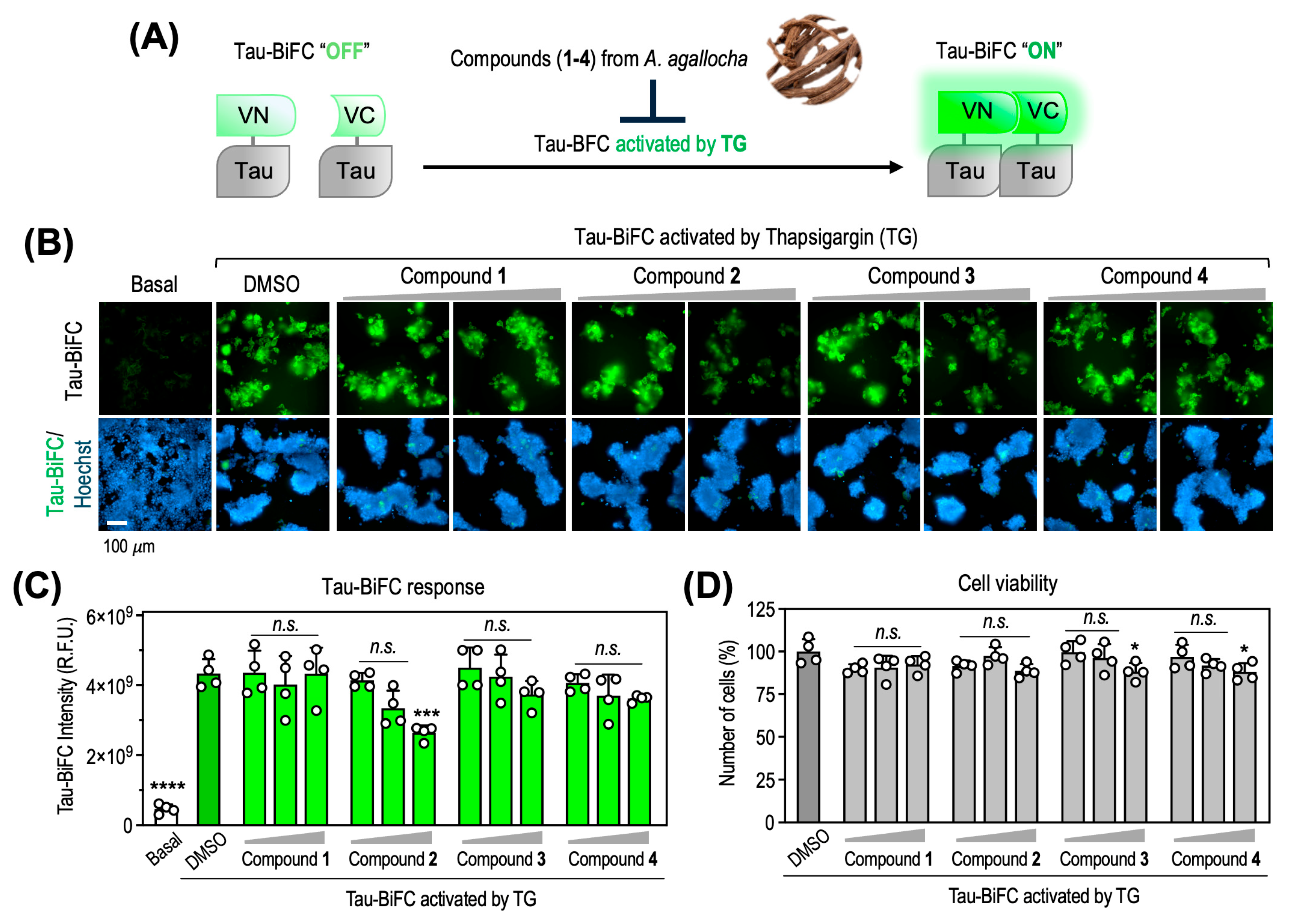 Biomedicines 13 02855 g006