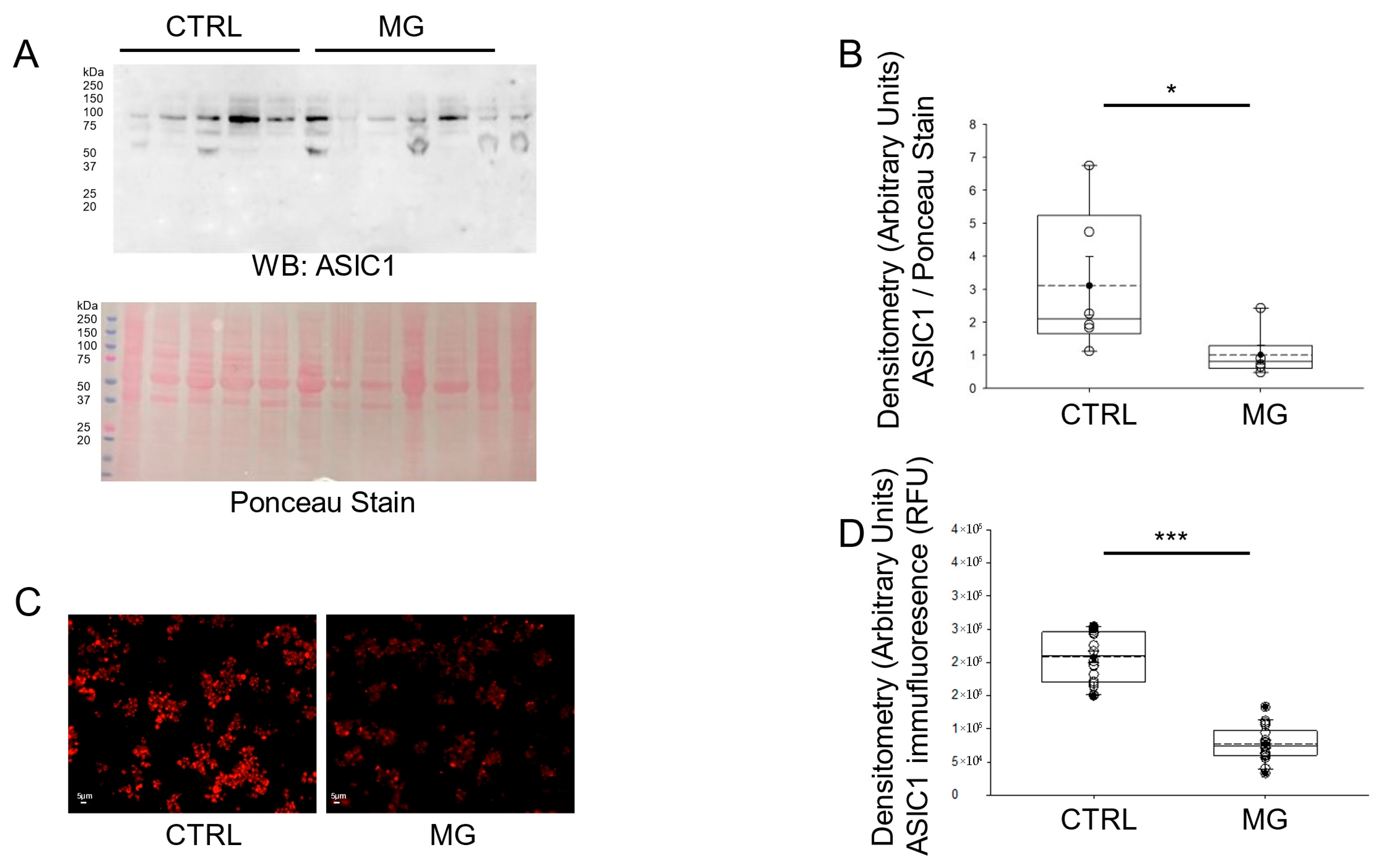 Biomedicines 13 02860 g002