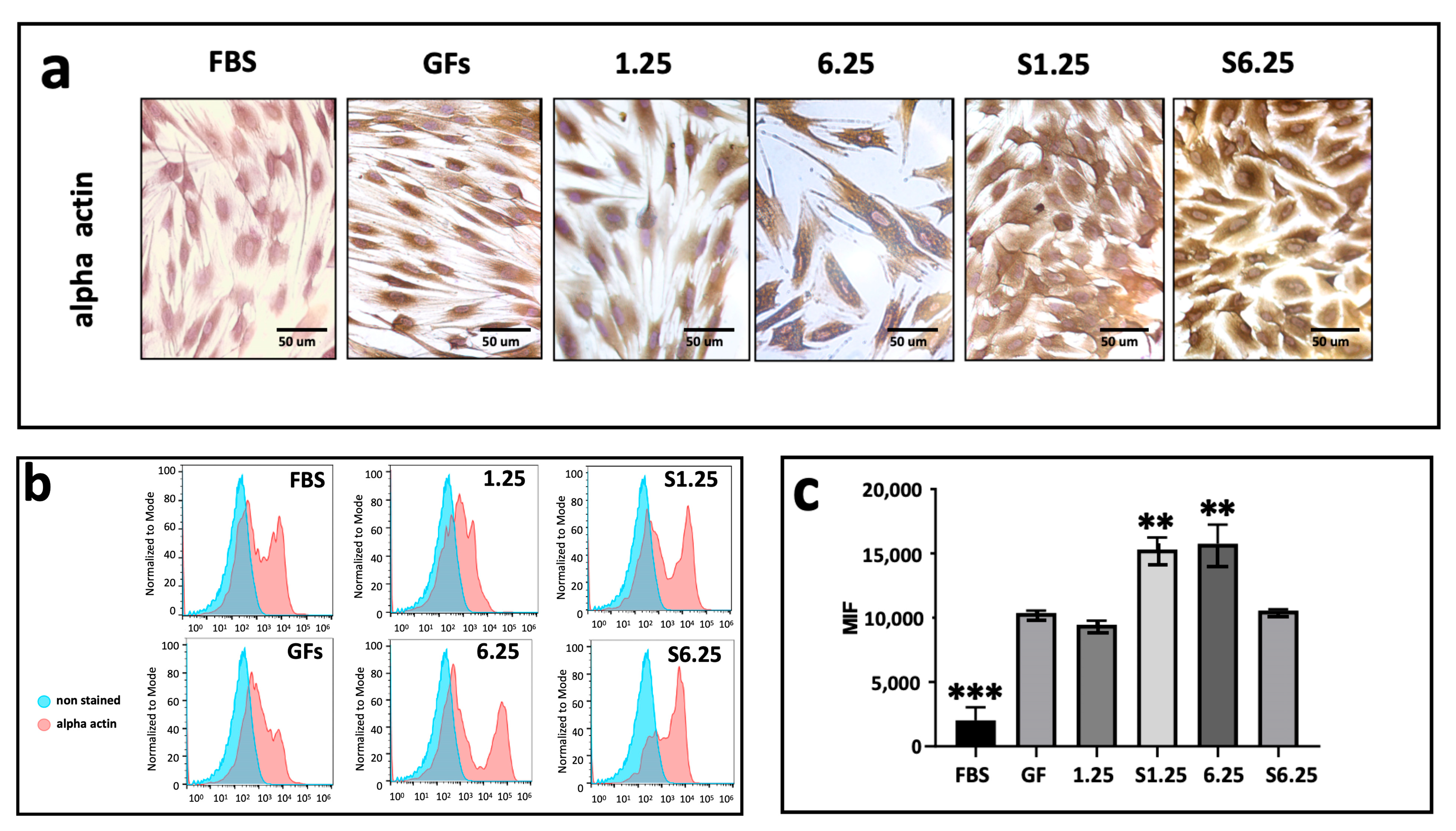 Biomedicines 13 02863 g006