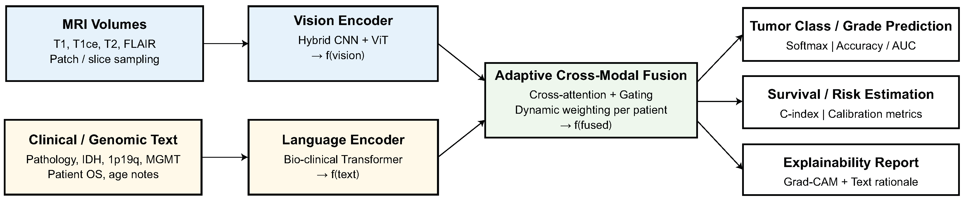 Biomedicines 13 02864 g001