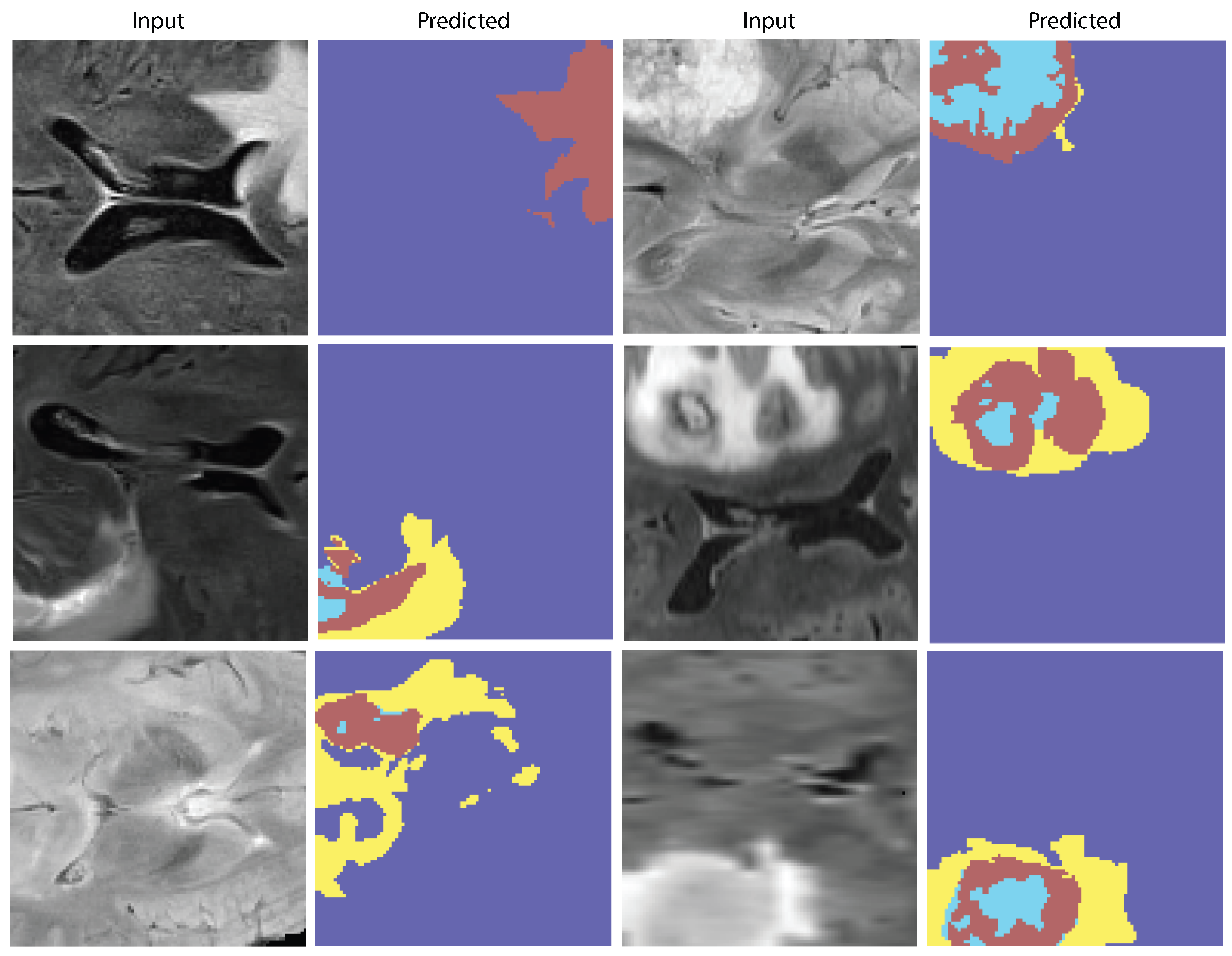 Biomedicines 13 02864 g010