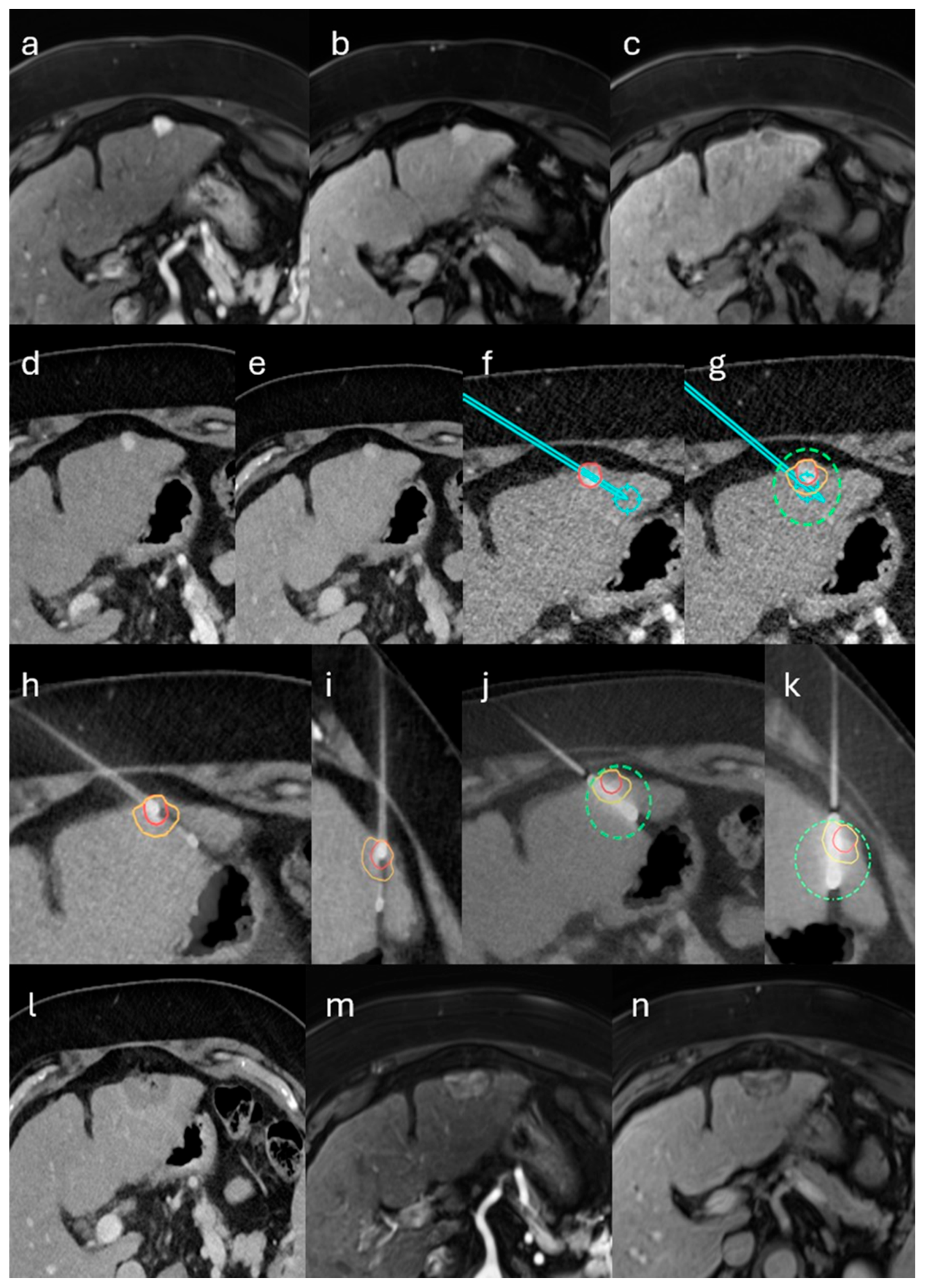 Biomedicines 13 02865 g001