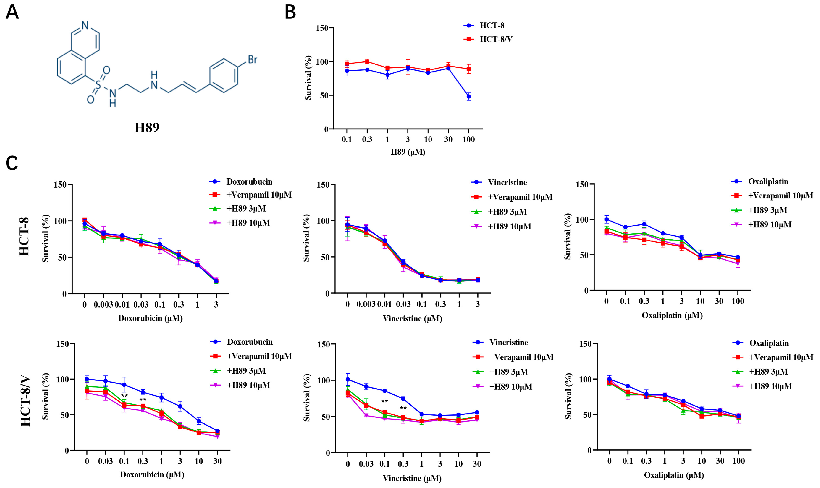 Biomedicines 13 02869 g001