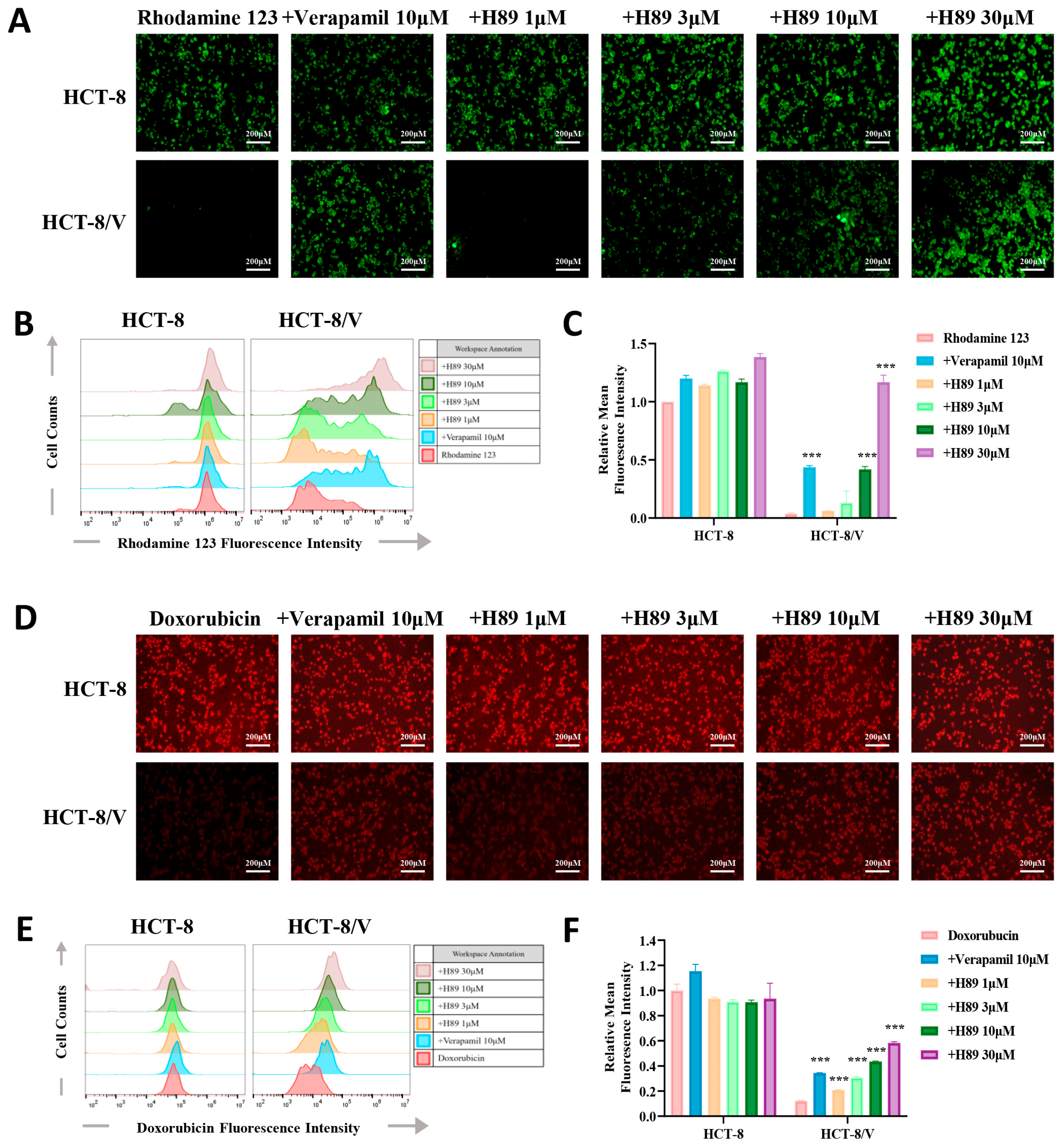 Biomedicines 13 02869 g003