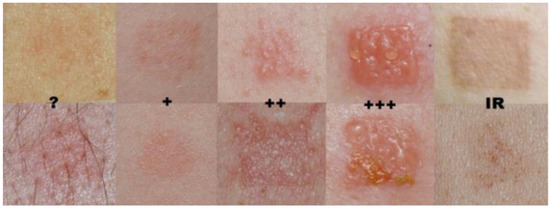 Biomedicines 13 02878 g001