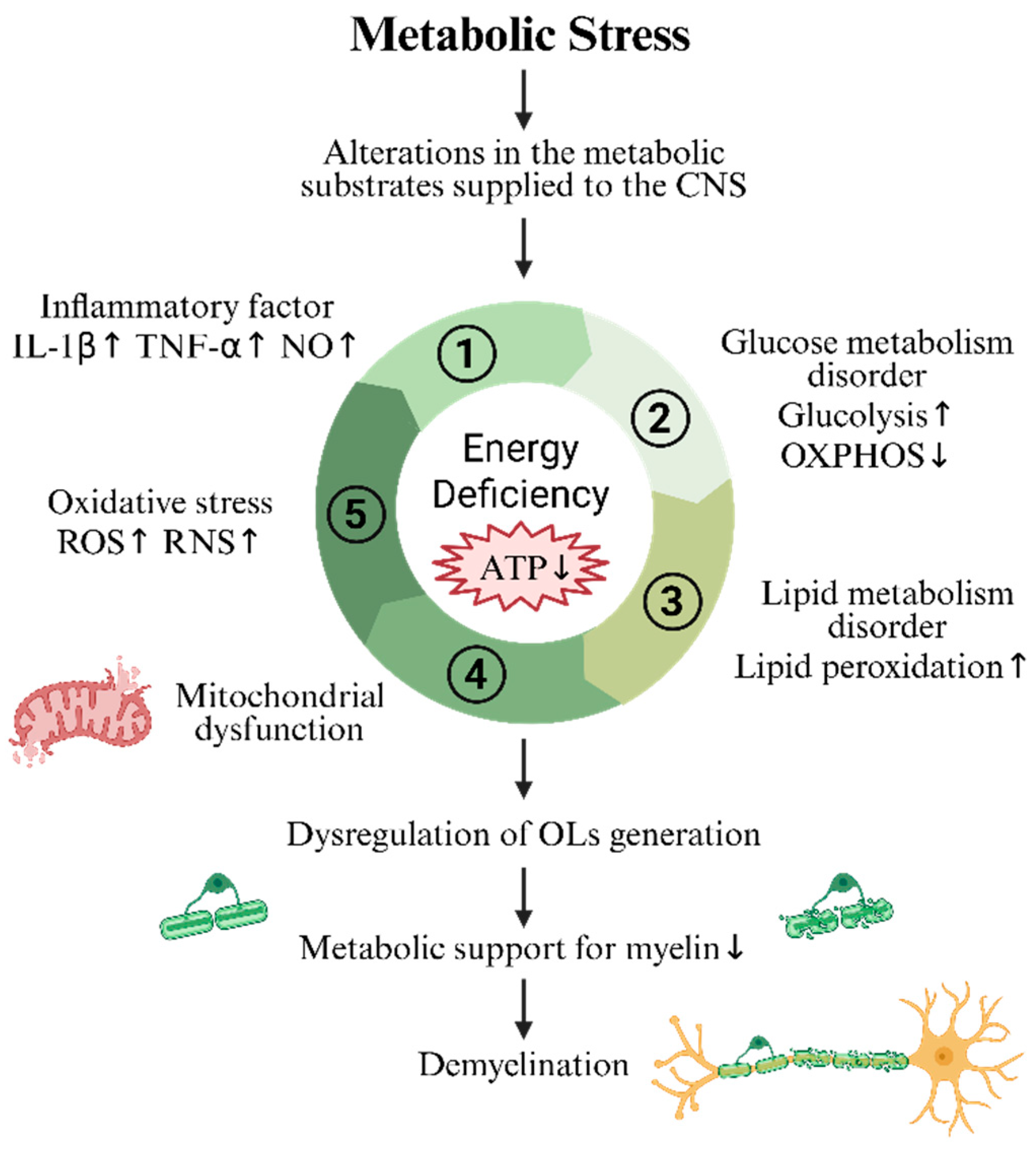 Biomedicines 13 02880 g003