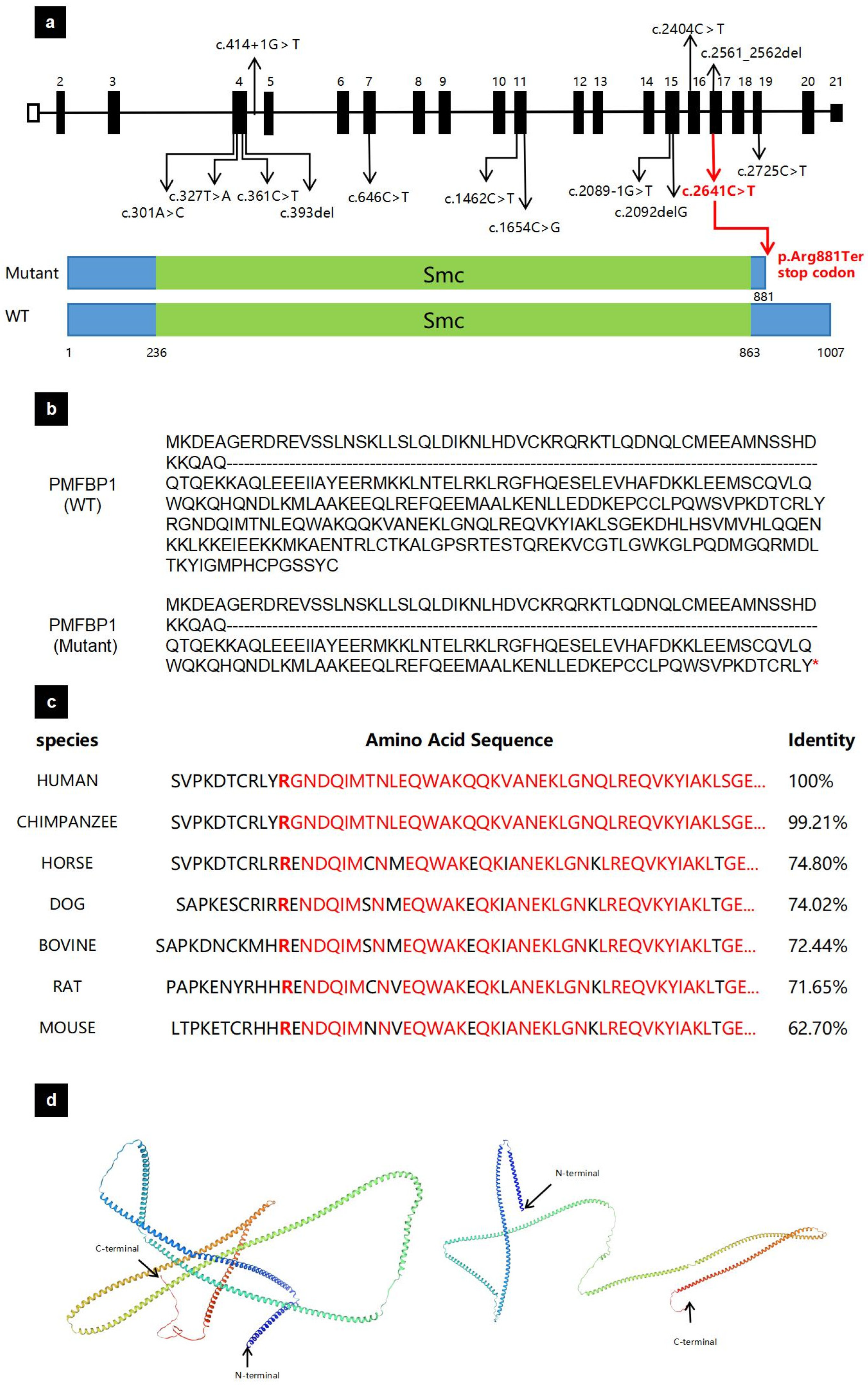 Biomedicines 13 02882 g002