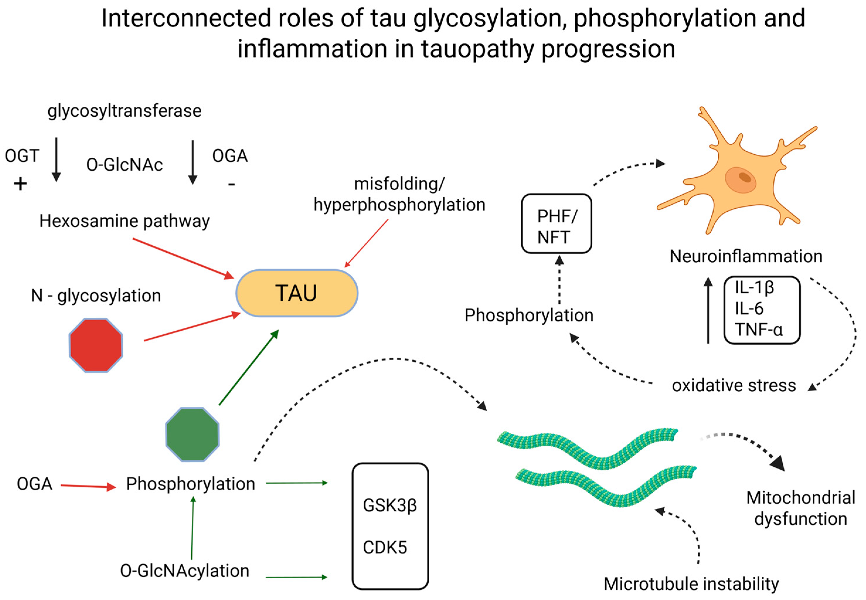 Biomedicines 13 02884 g002