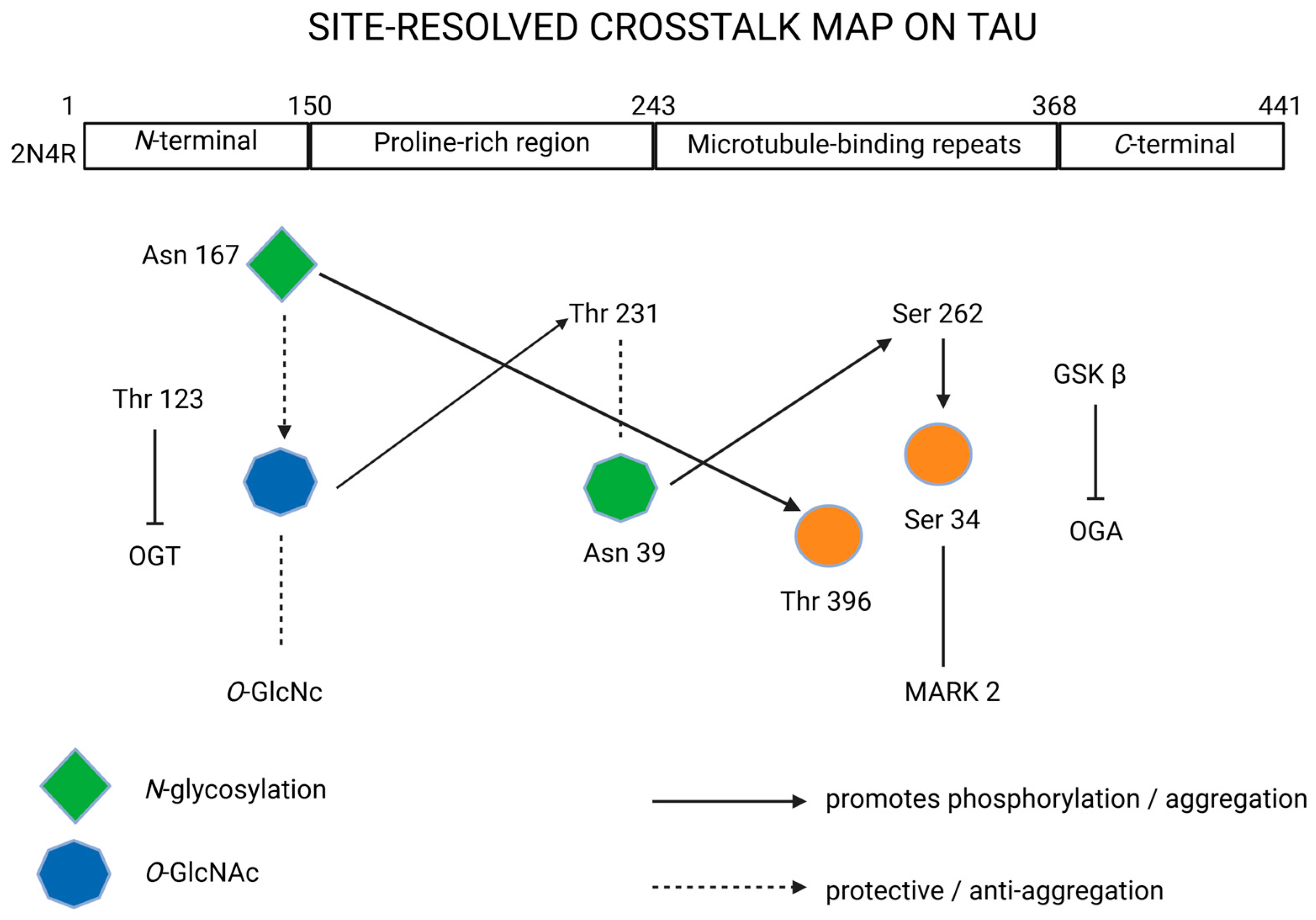 Biomedicines 13 02884 g003
