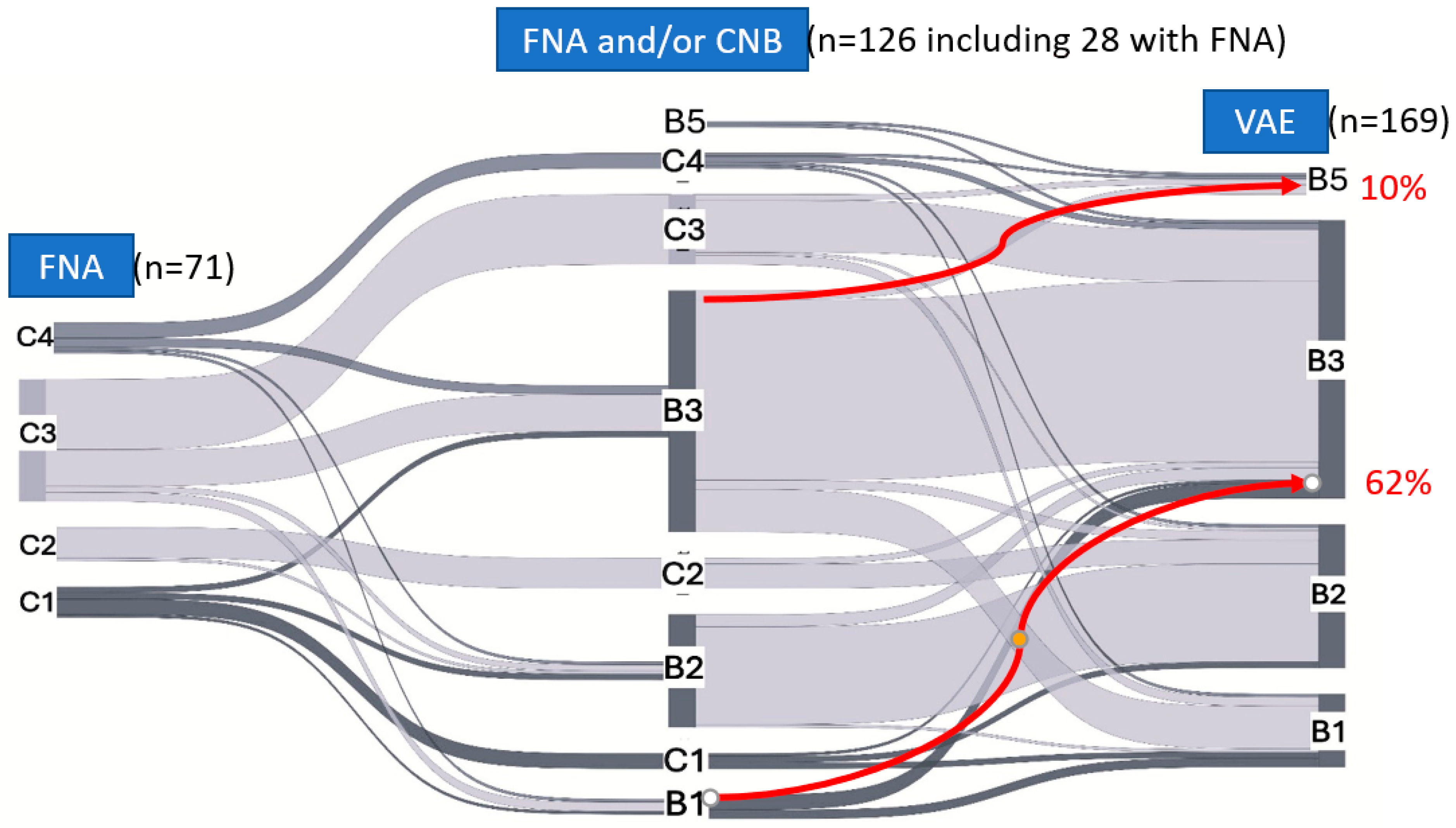 Biomedicines 13 02897 g001