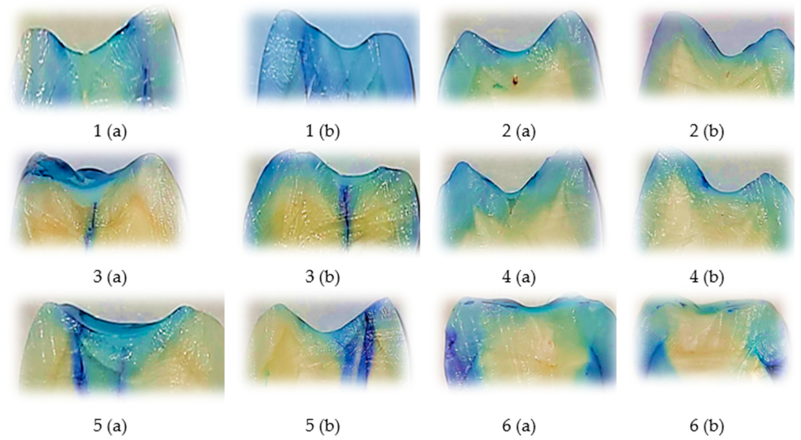 Biomedicines 13 02902 g001
