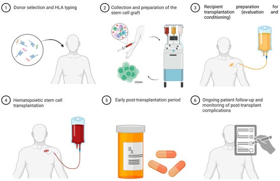 Biomedicines 13 02903 g002