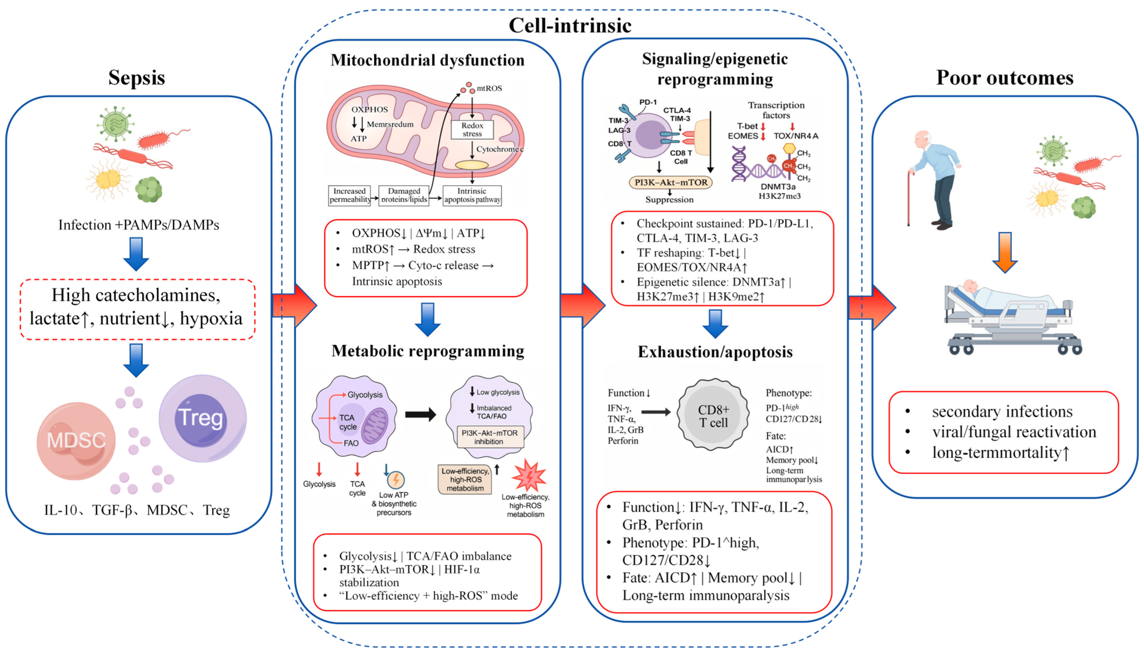 Biomedicines 13 02912 g001