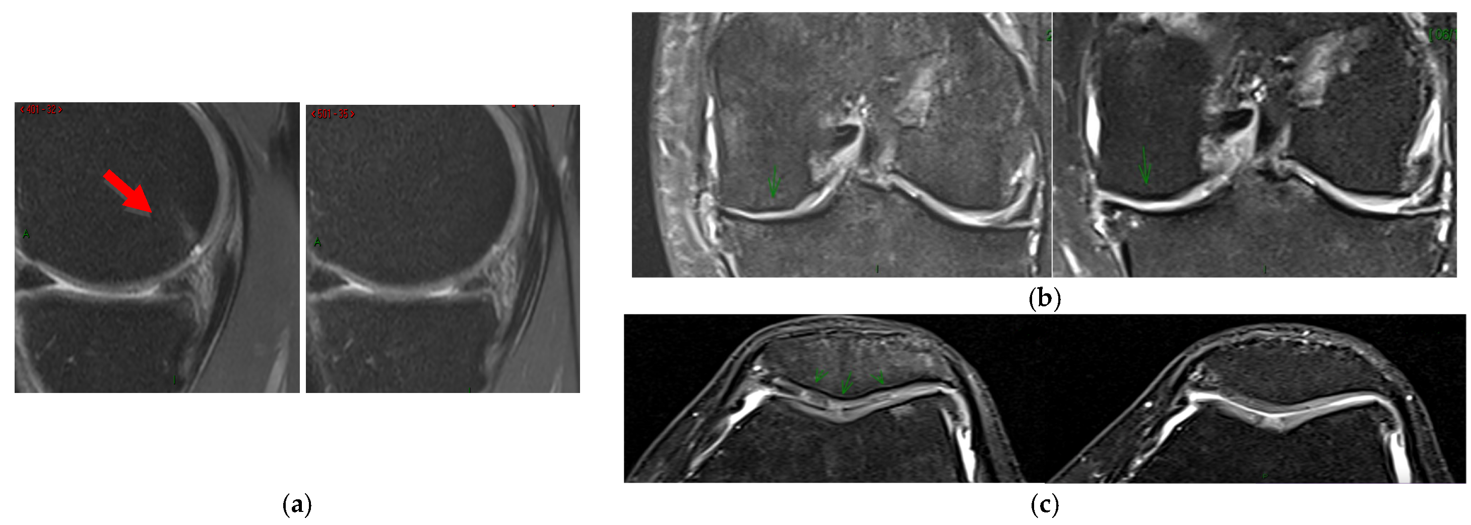 Biomedicines 13 02913 g003