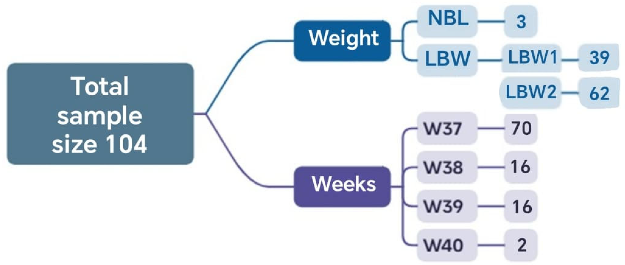 Biomedicines 13 02919 g002 Biomedicines 13 02919 g002