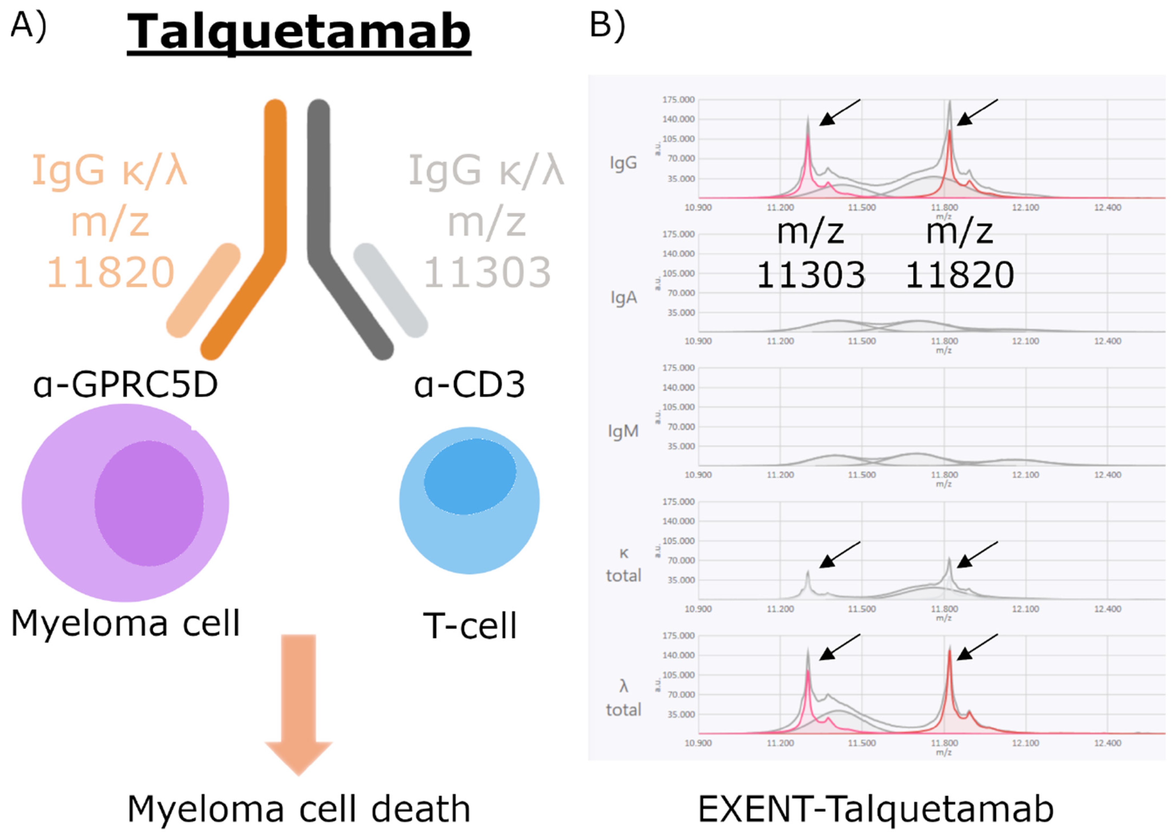 Biomedicines 13 02933 g001 Biomedicines 13 02933 g001