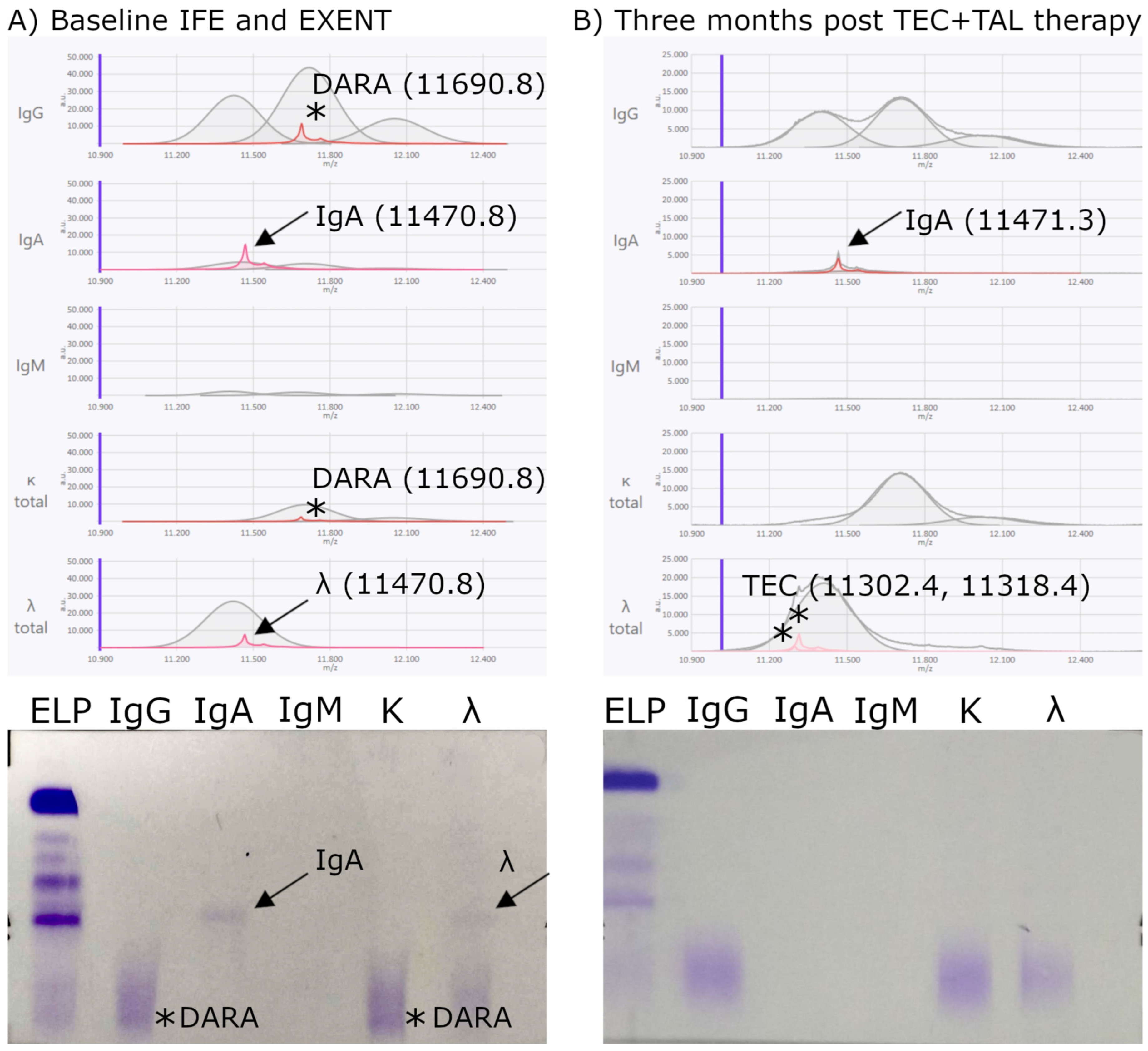 Biomedicines 13 02933 g004 Biomedicines 13 02933 g004