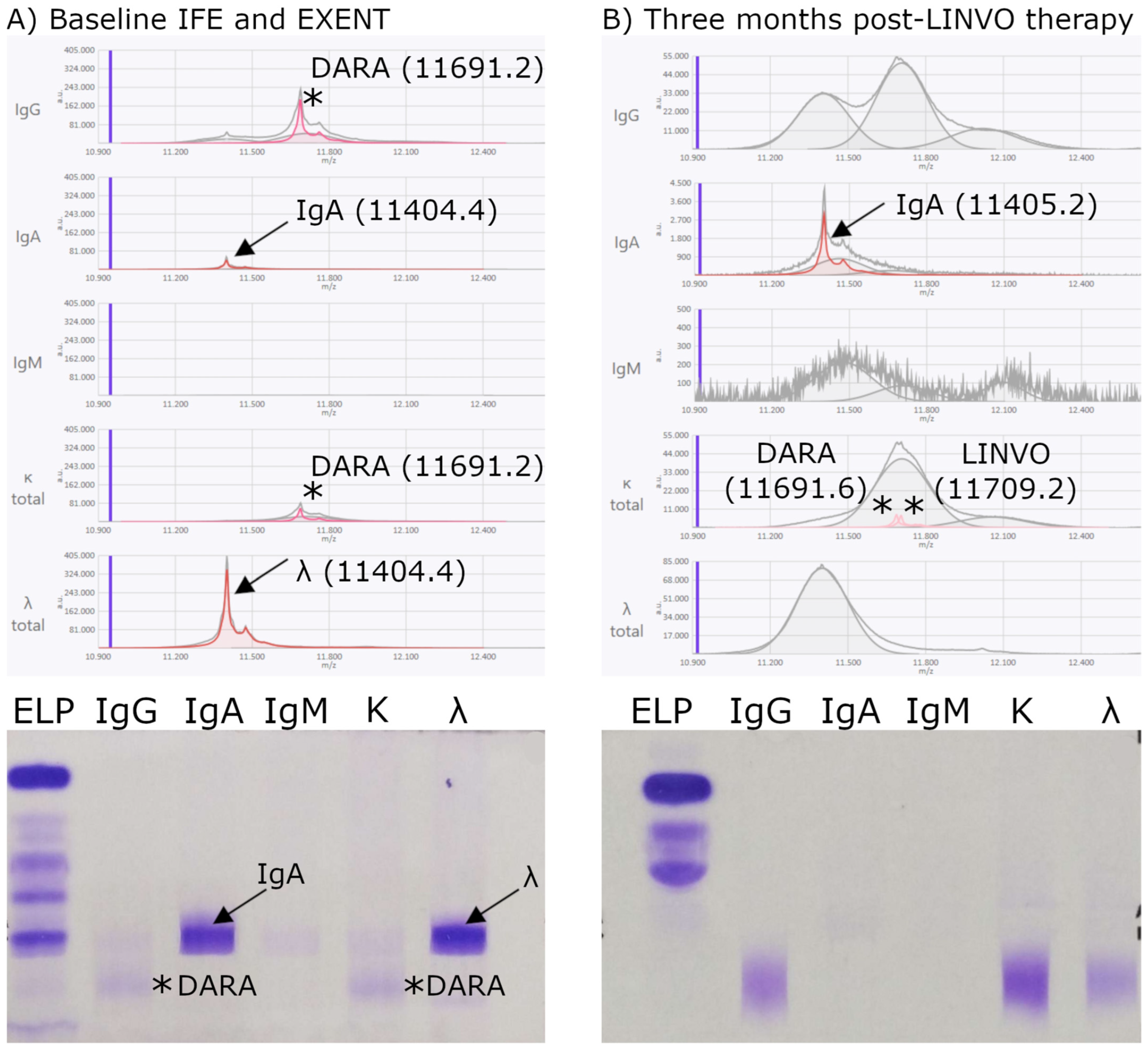 Biomedicines 13 02933 g005 Biomedicines 13 02933 g005
