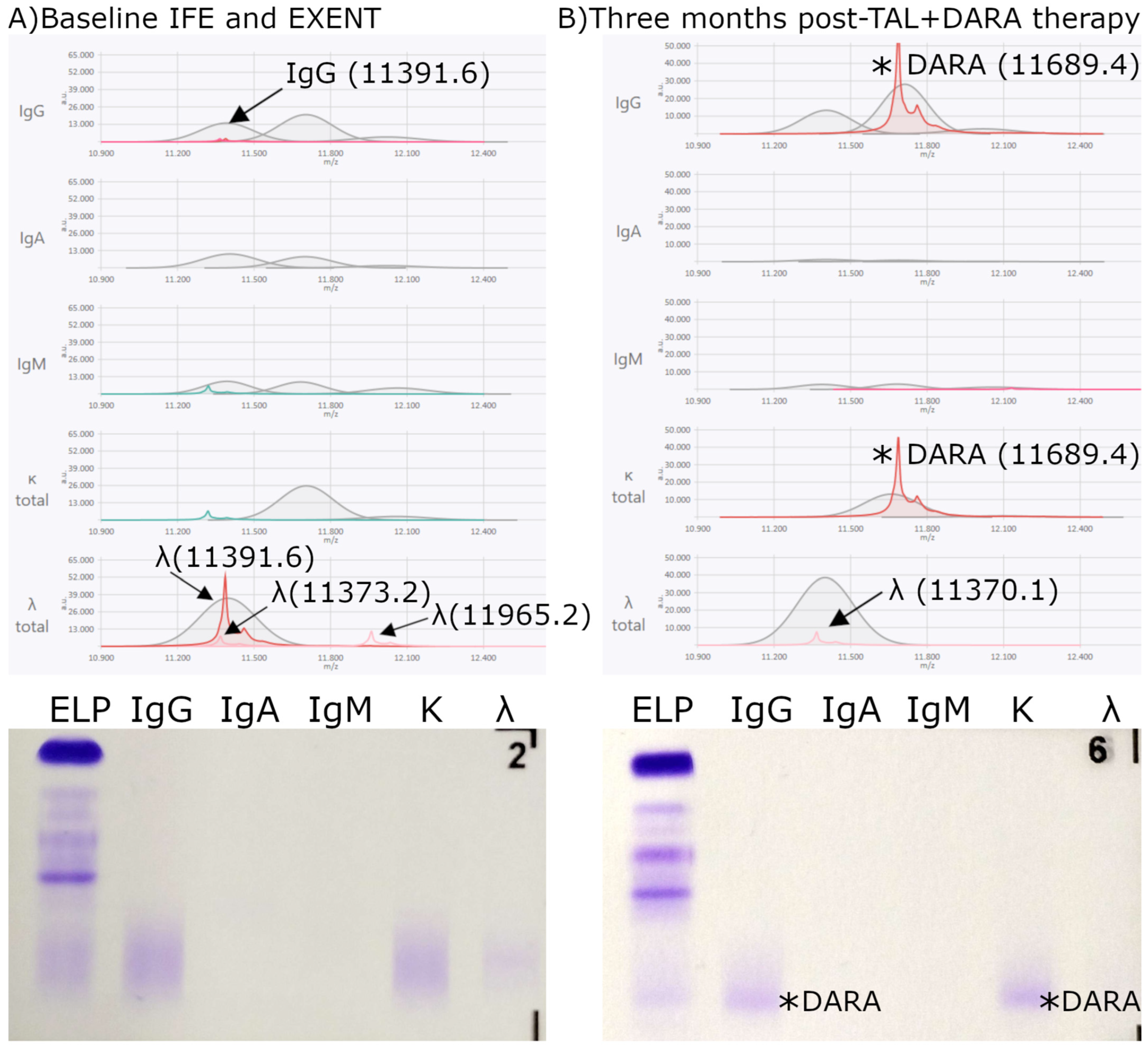 Biomedicines 13 02933 g006 Biomedicines 13 02933 g006