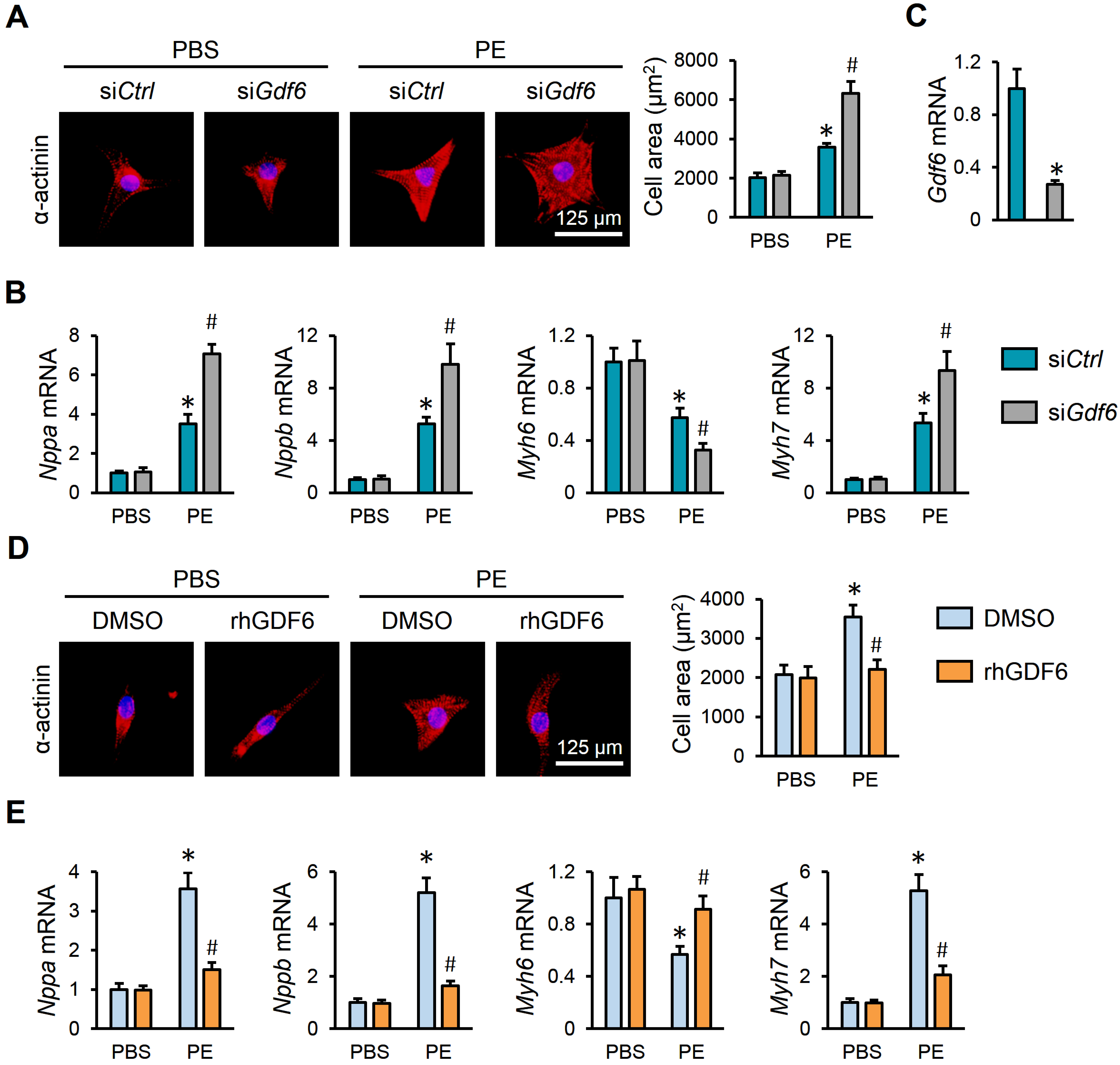 Biomedicines 13 02935 g004 Biomedicines 13 02935 g004