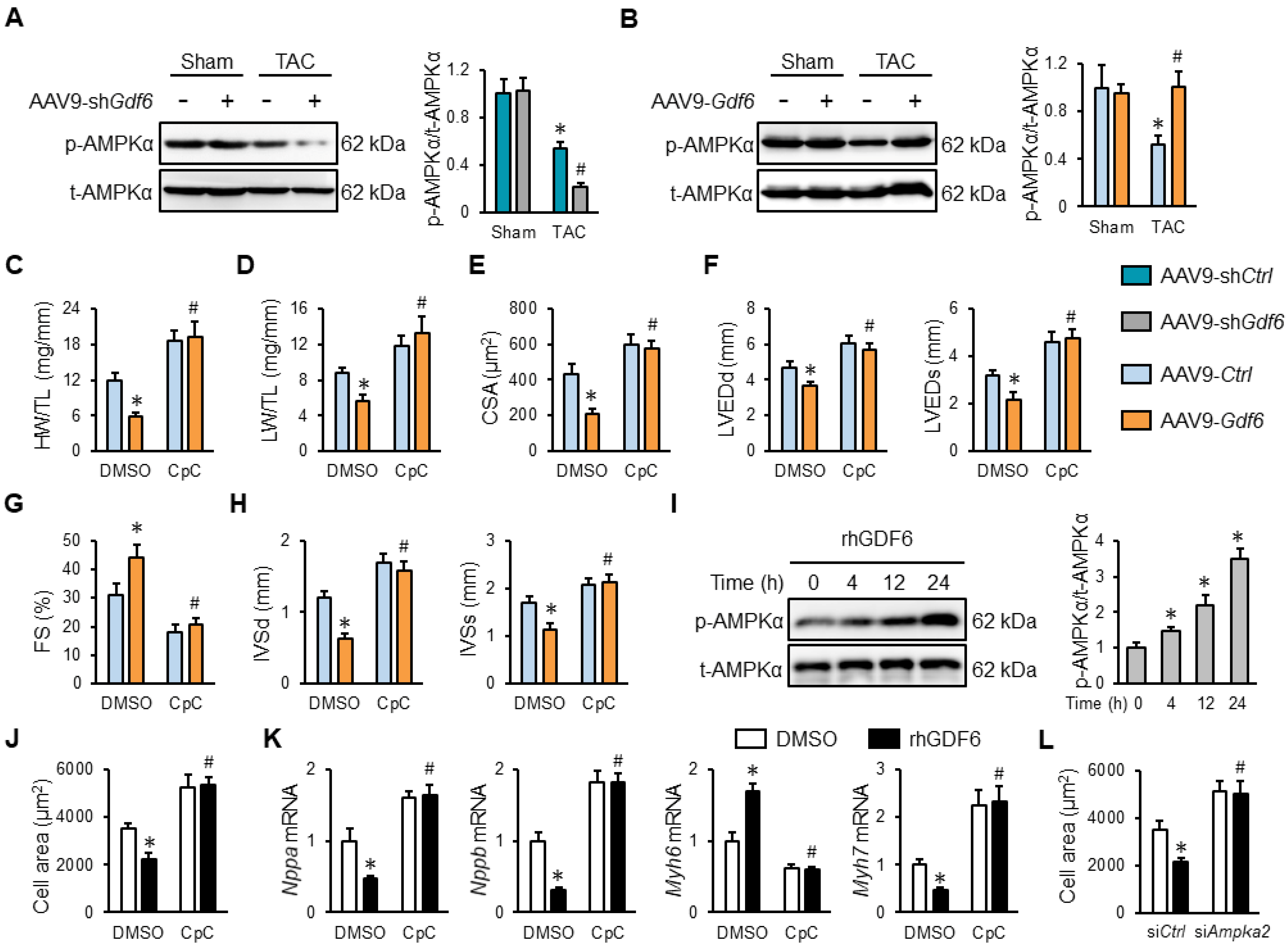 Biomedicines 13 02935 g005 Biomedicines 13 02935 g005