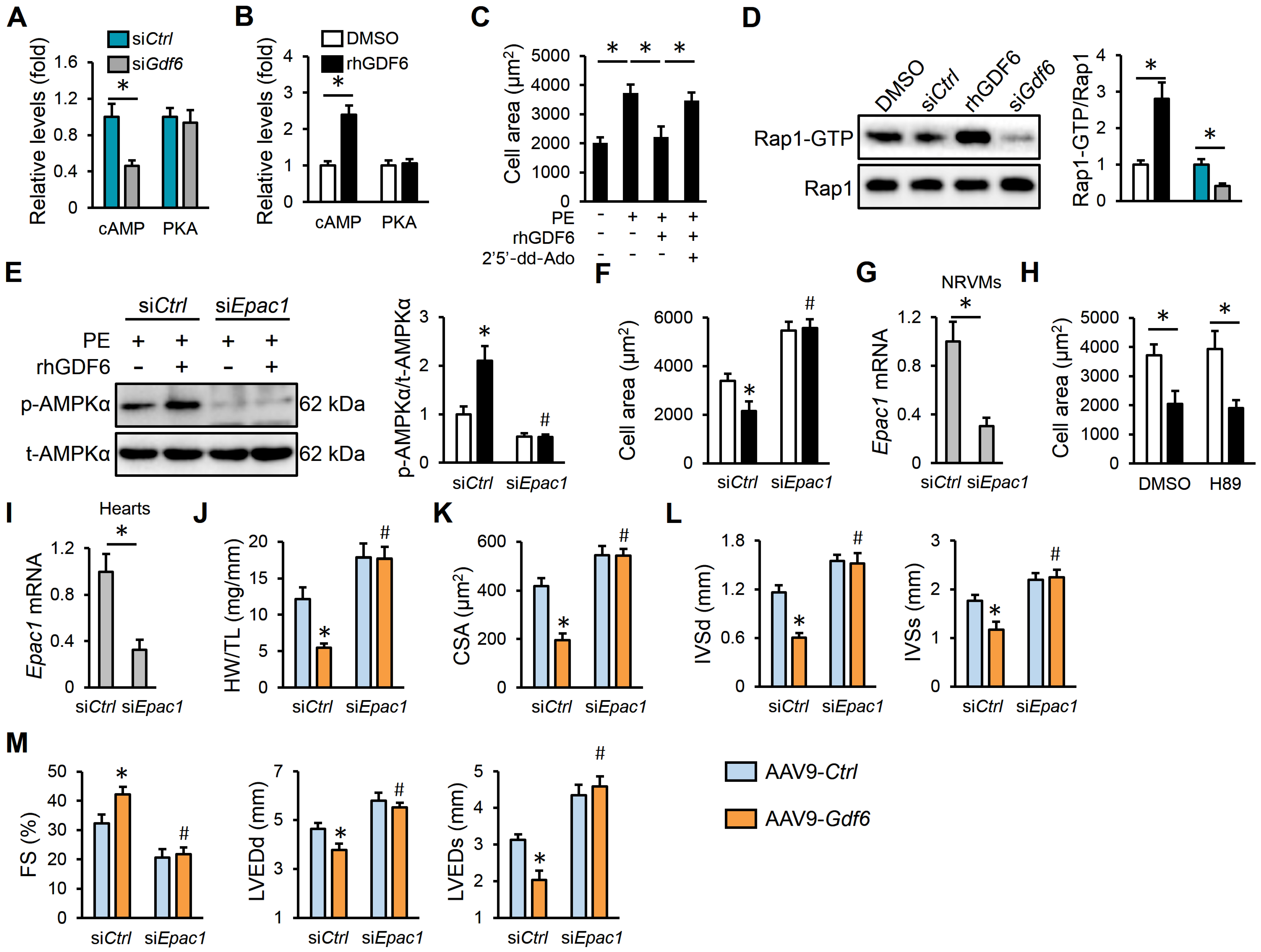 Biomedicines 13 02935 g006 Biomedicines 13 02935 g006
