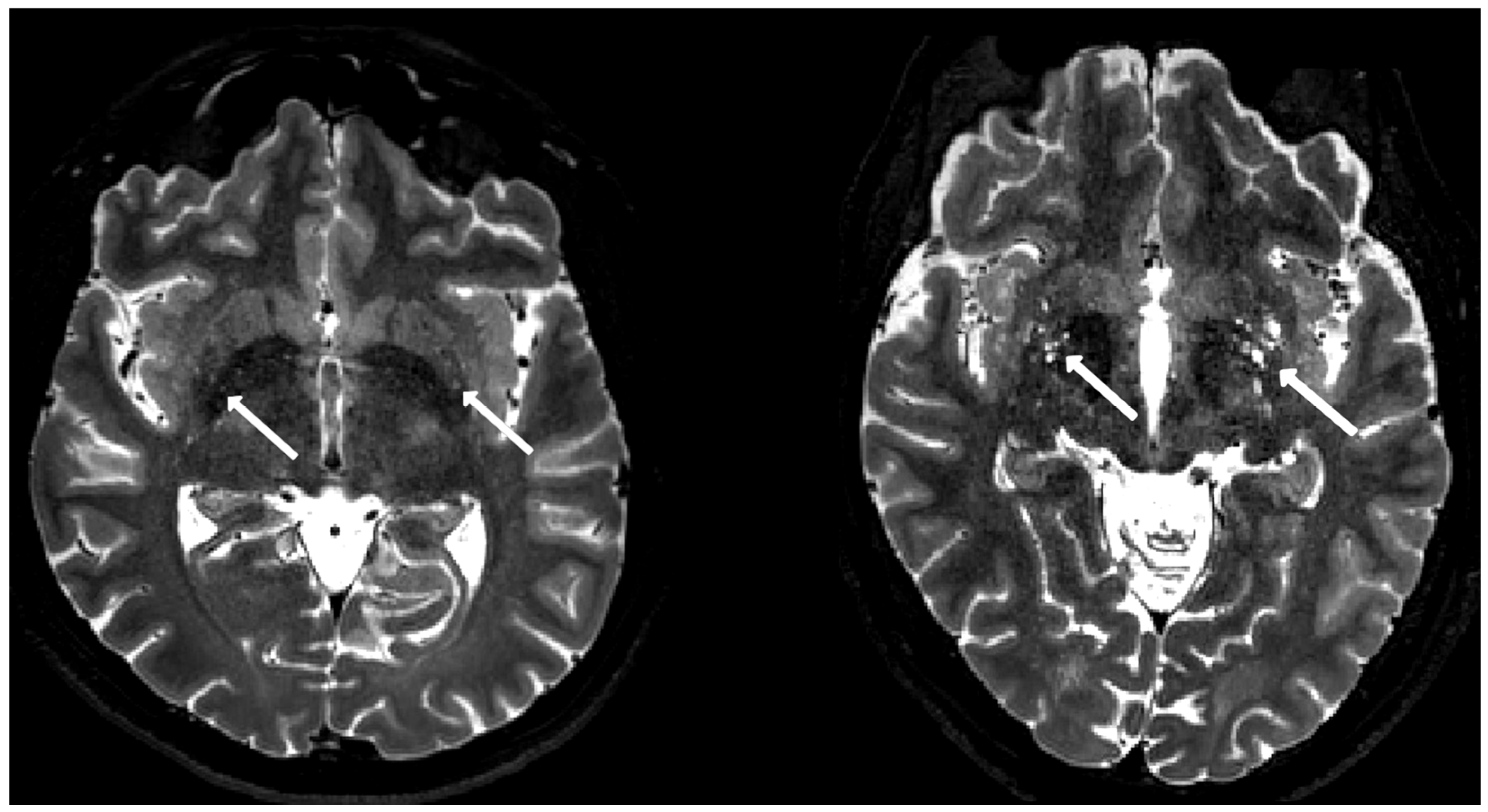 Biomedicines 13 02937 g003