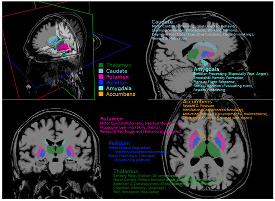 Biomedicines 13 02937 g0a1