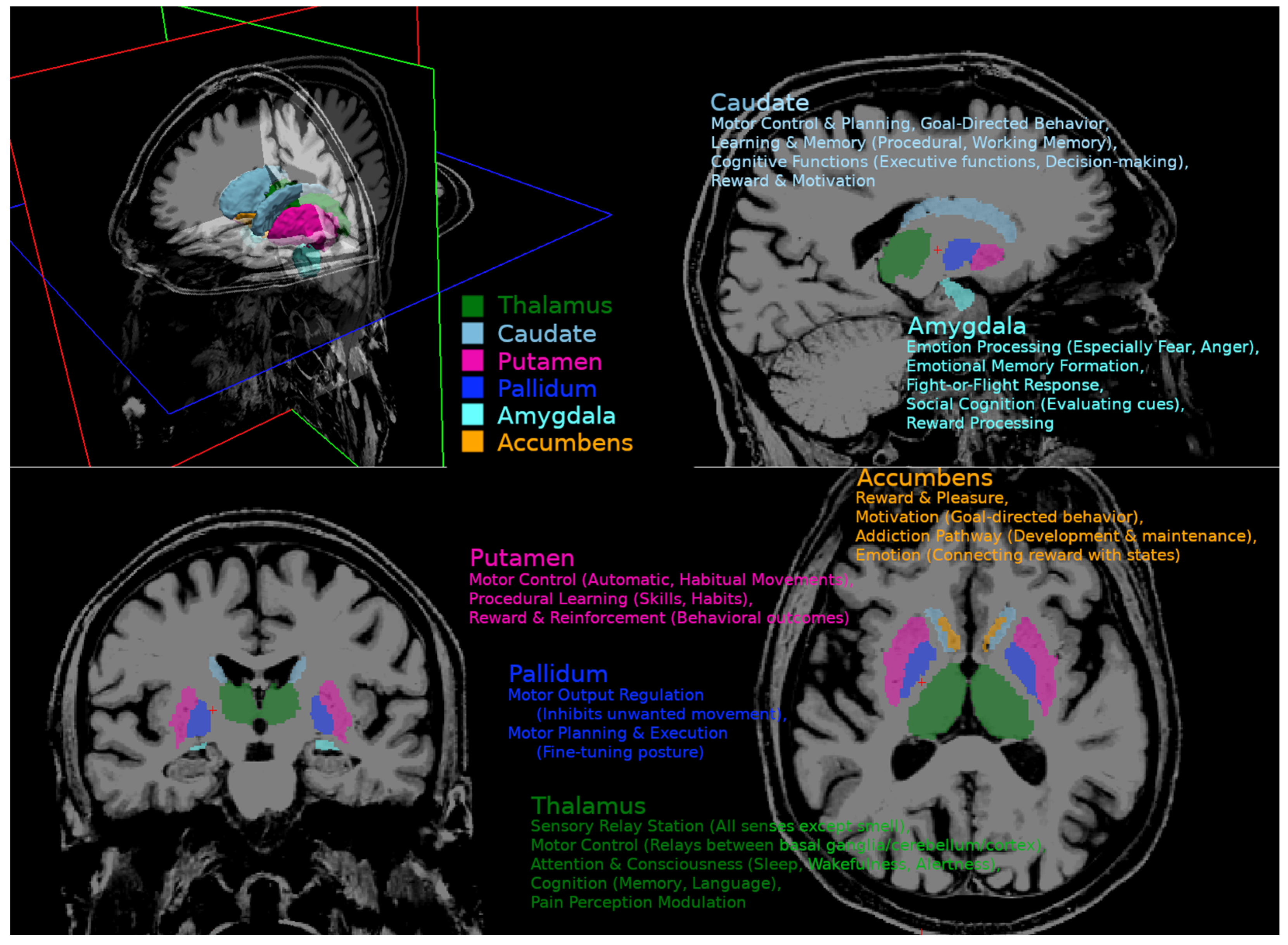Biomedicines 13 02937 g0a1