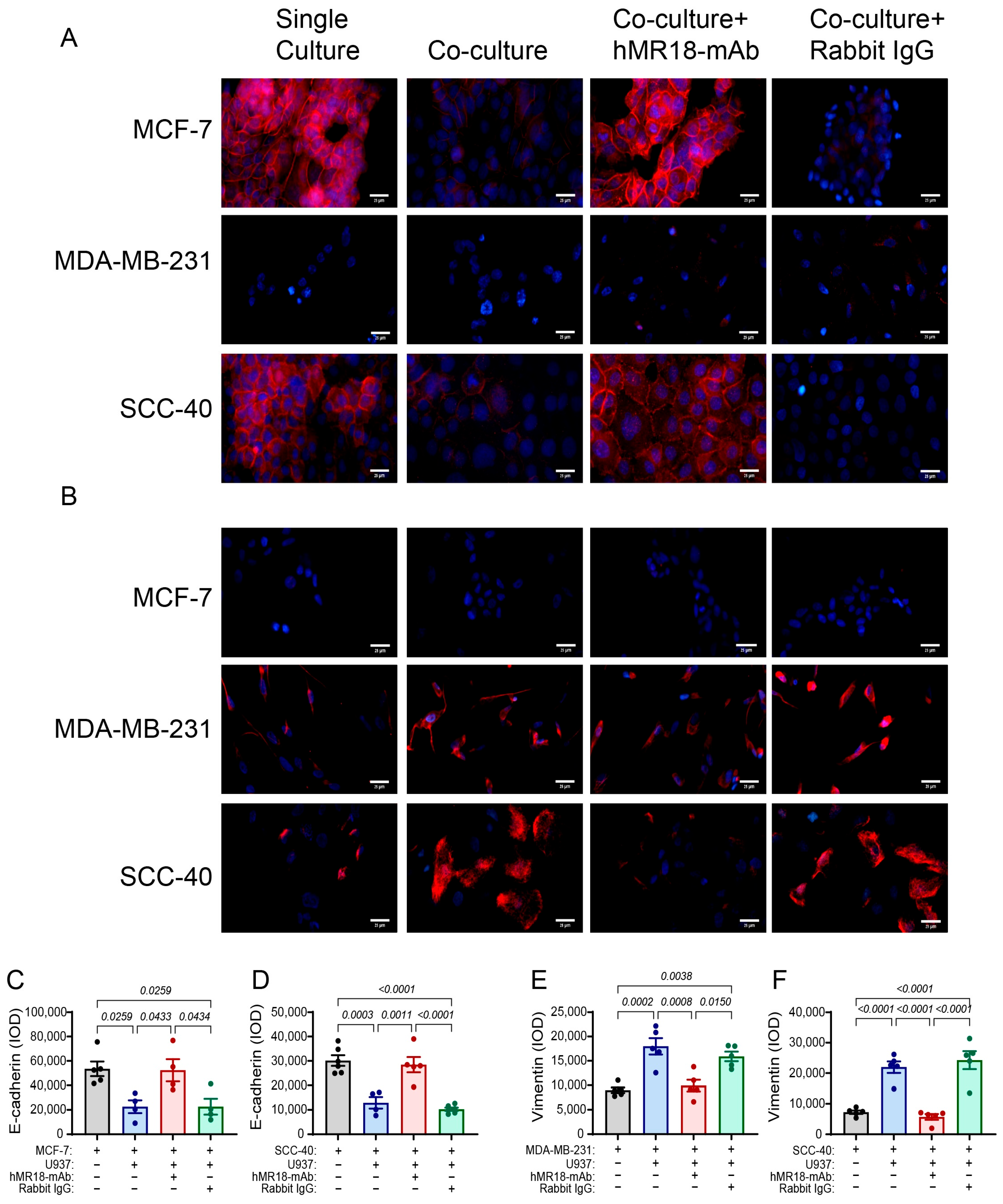 Biomedicines 13 02950 g003