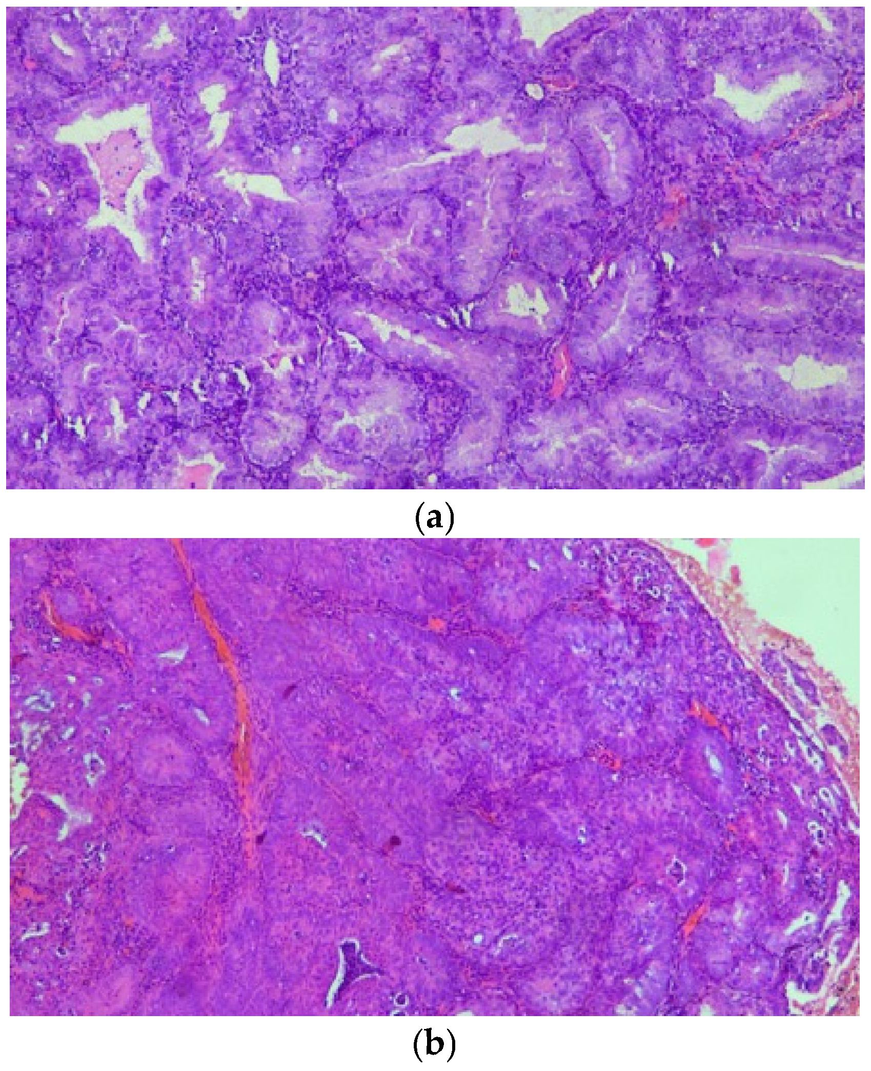 Biomedicines 13 02953 g001