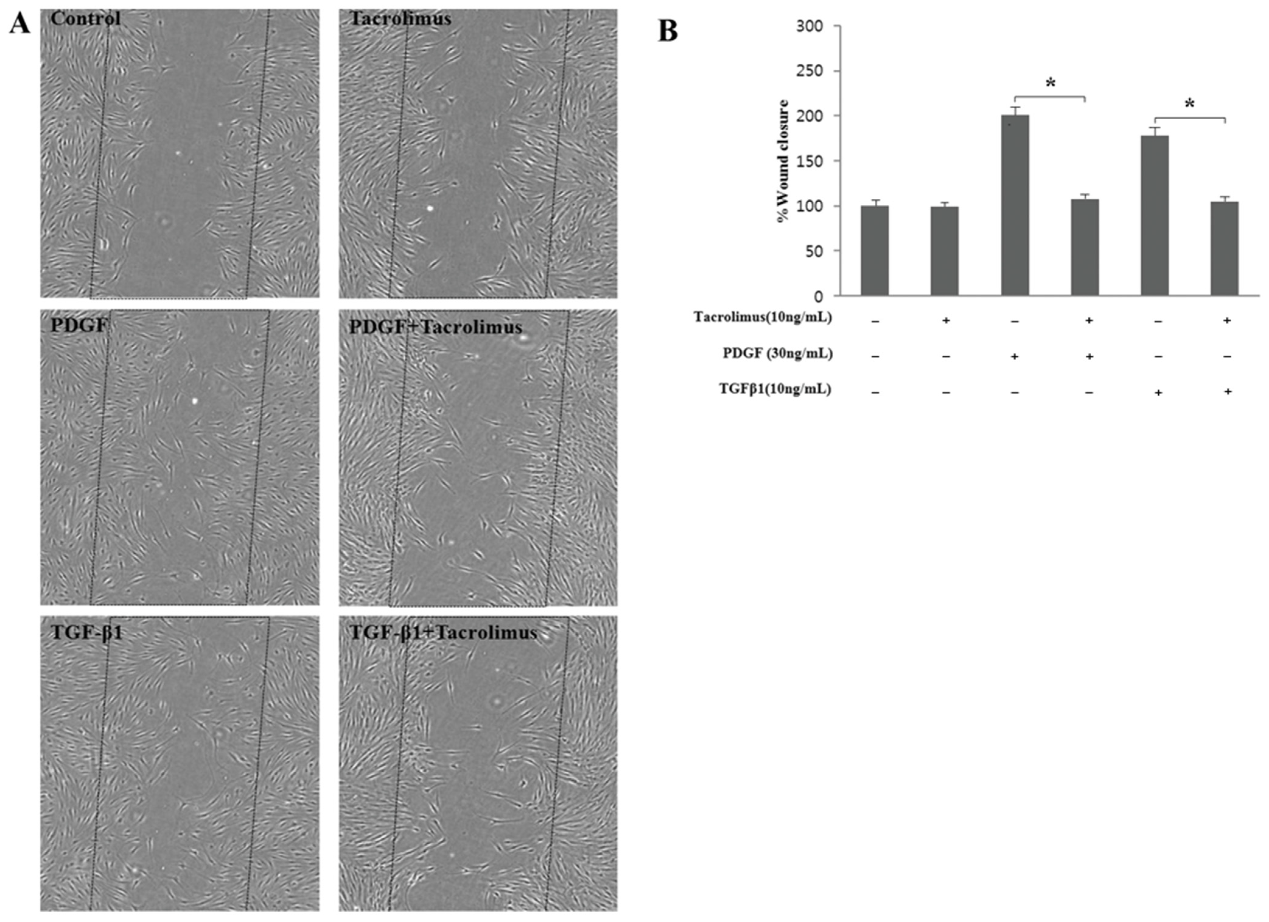Biomedicines 13 02956 g002 Biomedicines 13 02956 g002