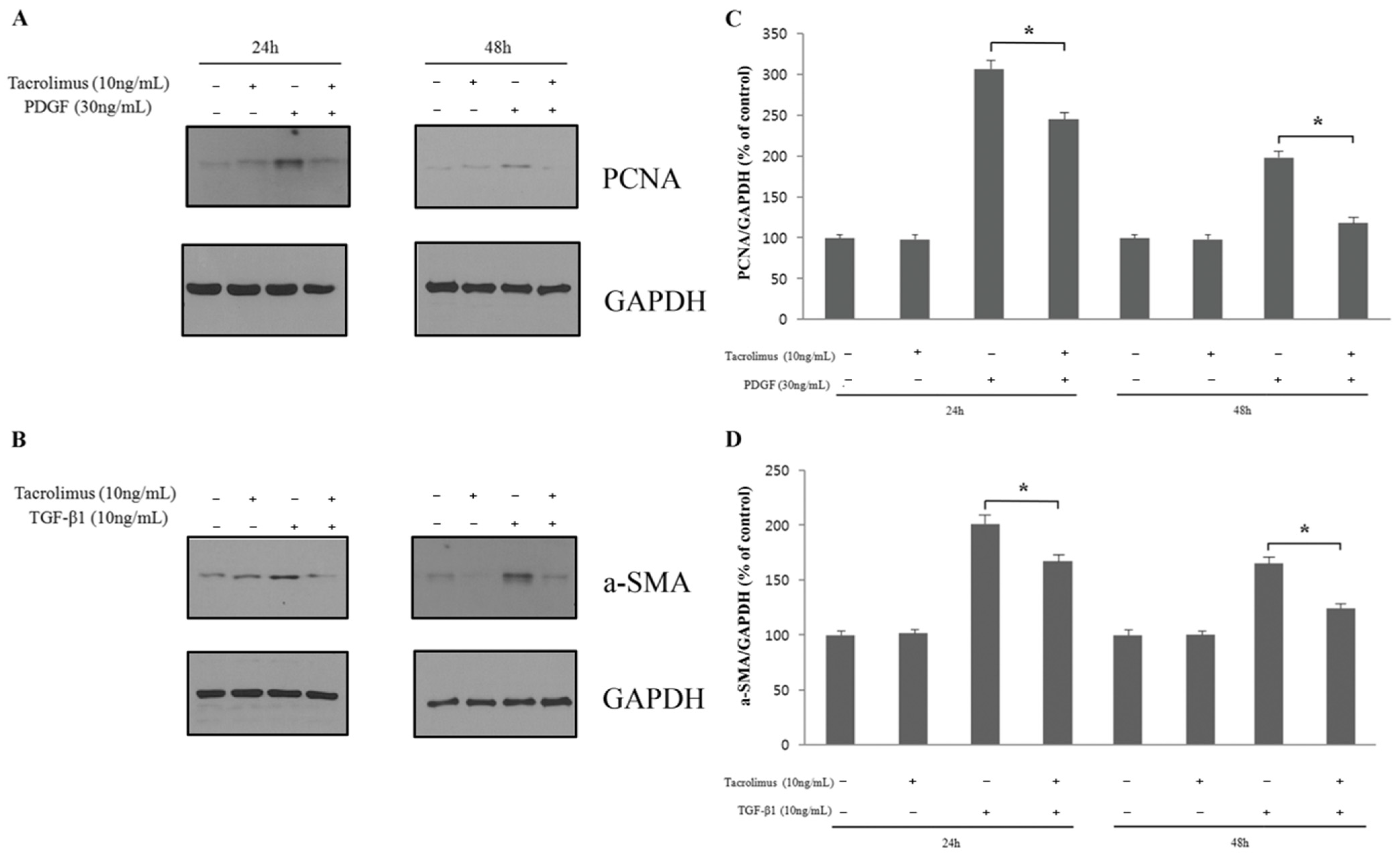 Biomedicines 13 02956 g003 Biomedicines 13 02956 g003