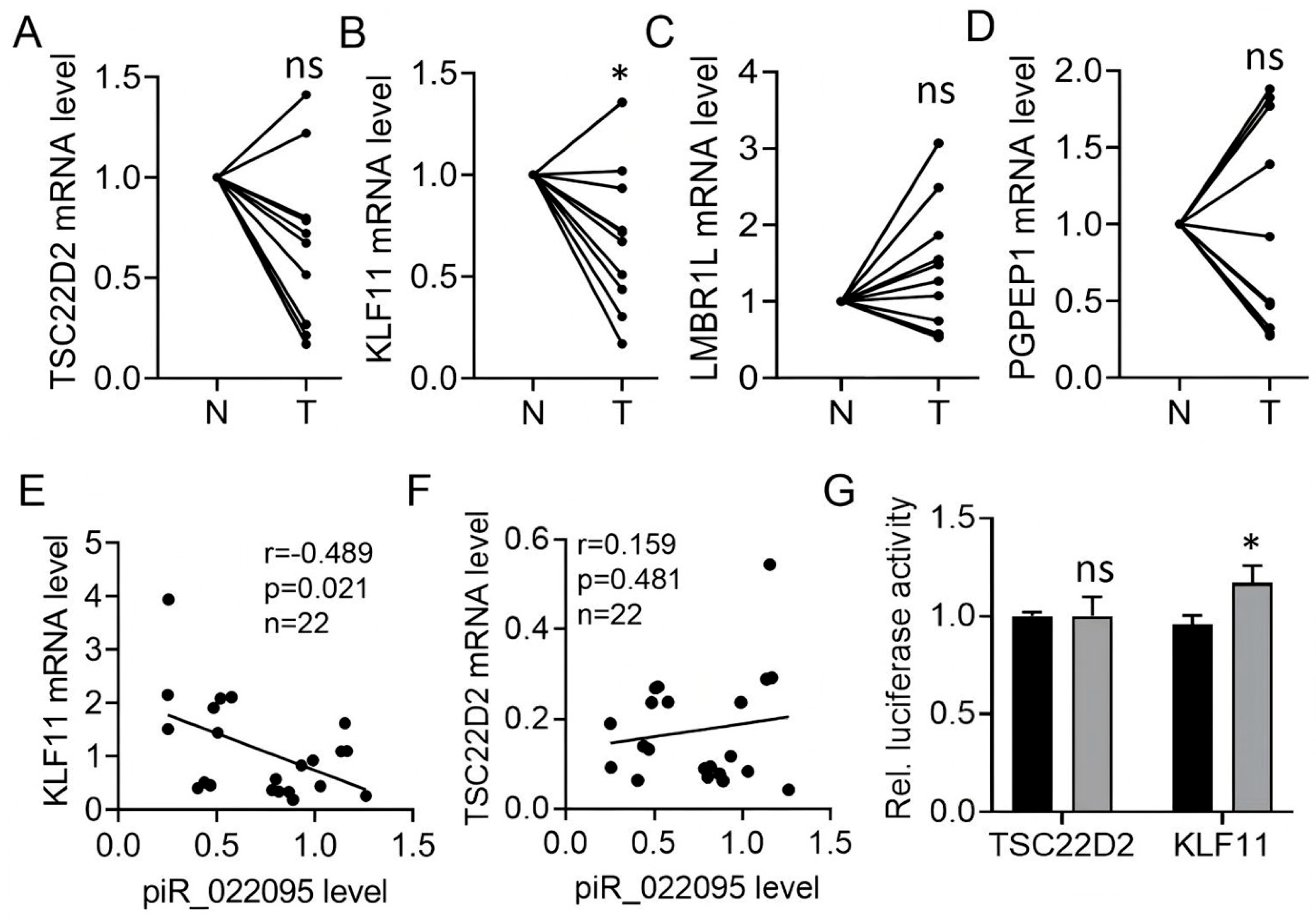 Biomedicines 13 02963 g004 Biomedicines 13 02963 g004