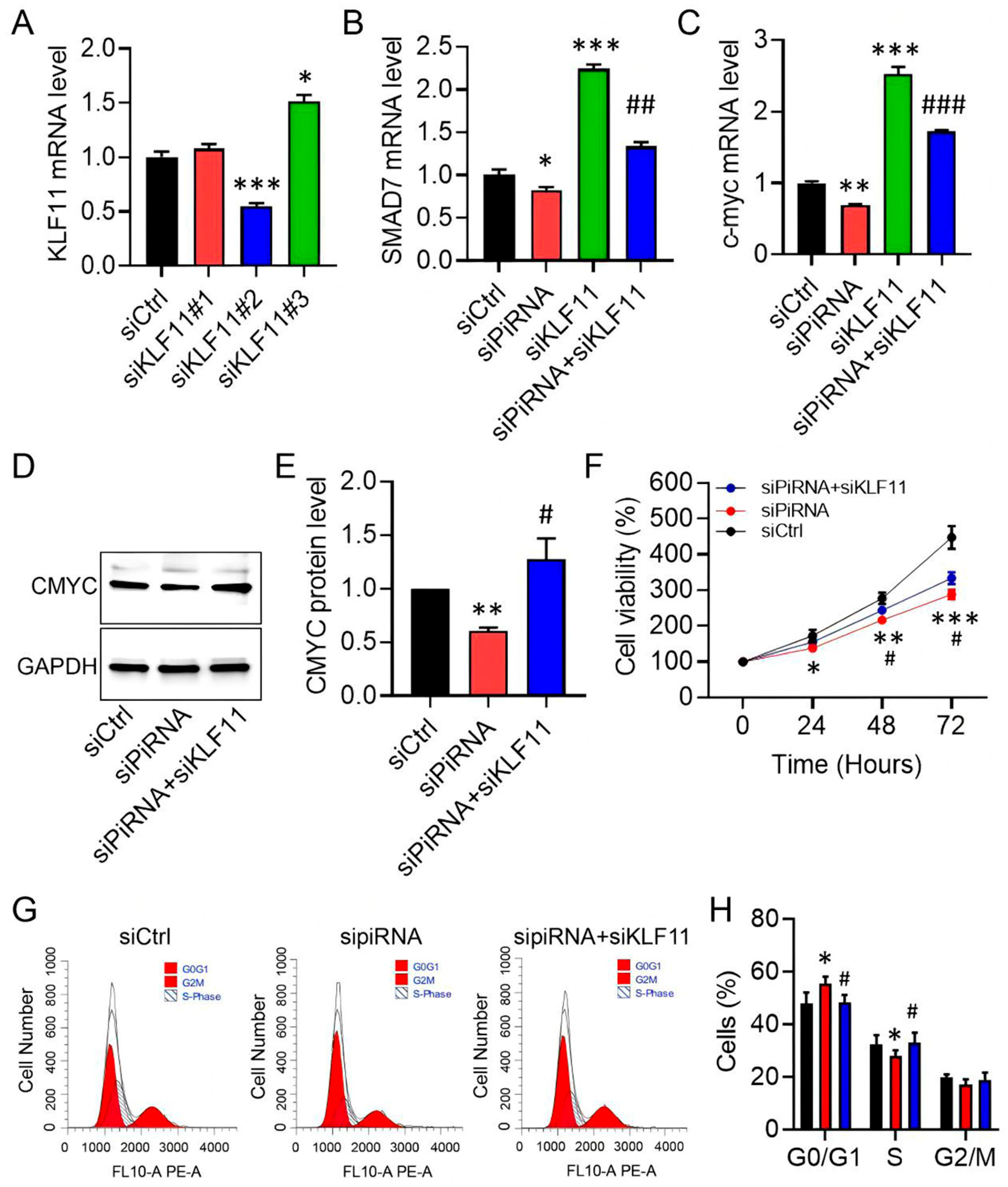 Biomedicines 13 02963 g005 Biomedicines 13 02963 g005