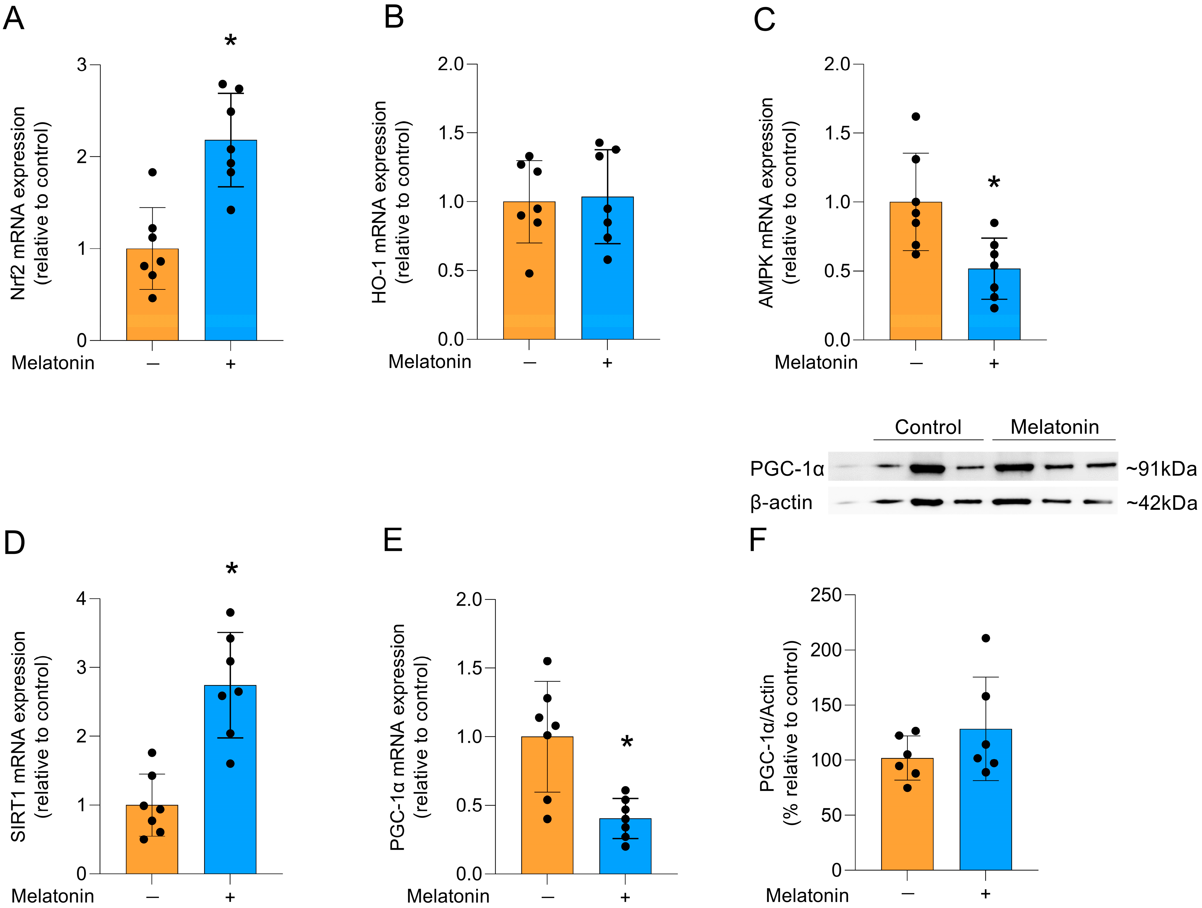 Biomedicines 13 02967 g005