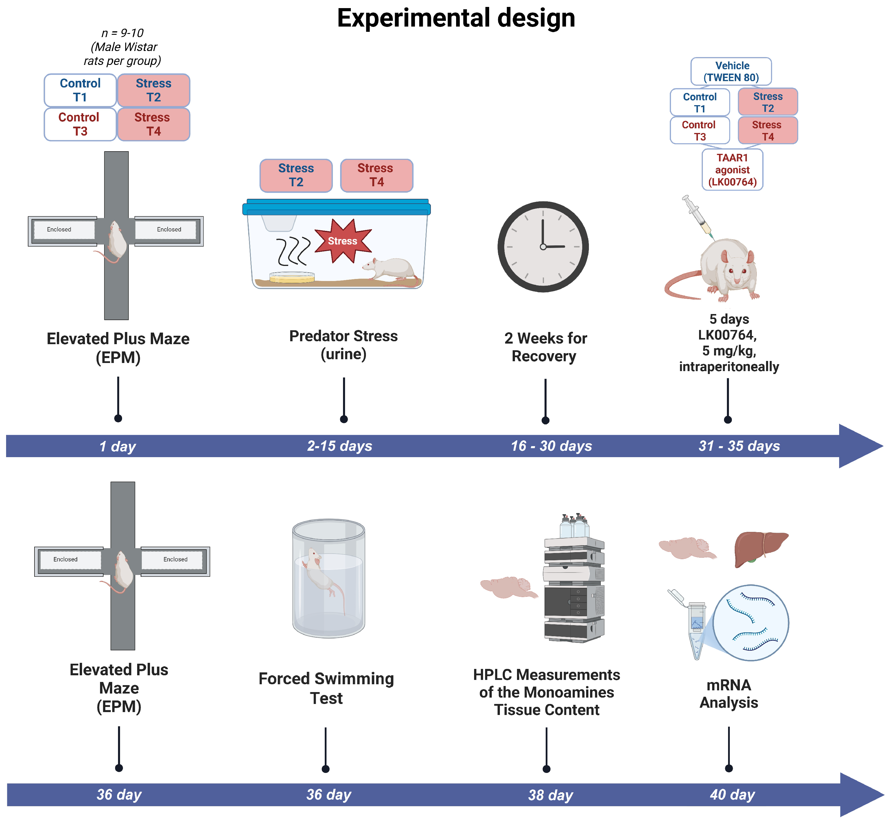 Biomedicines 13 02972 g001