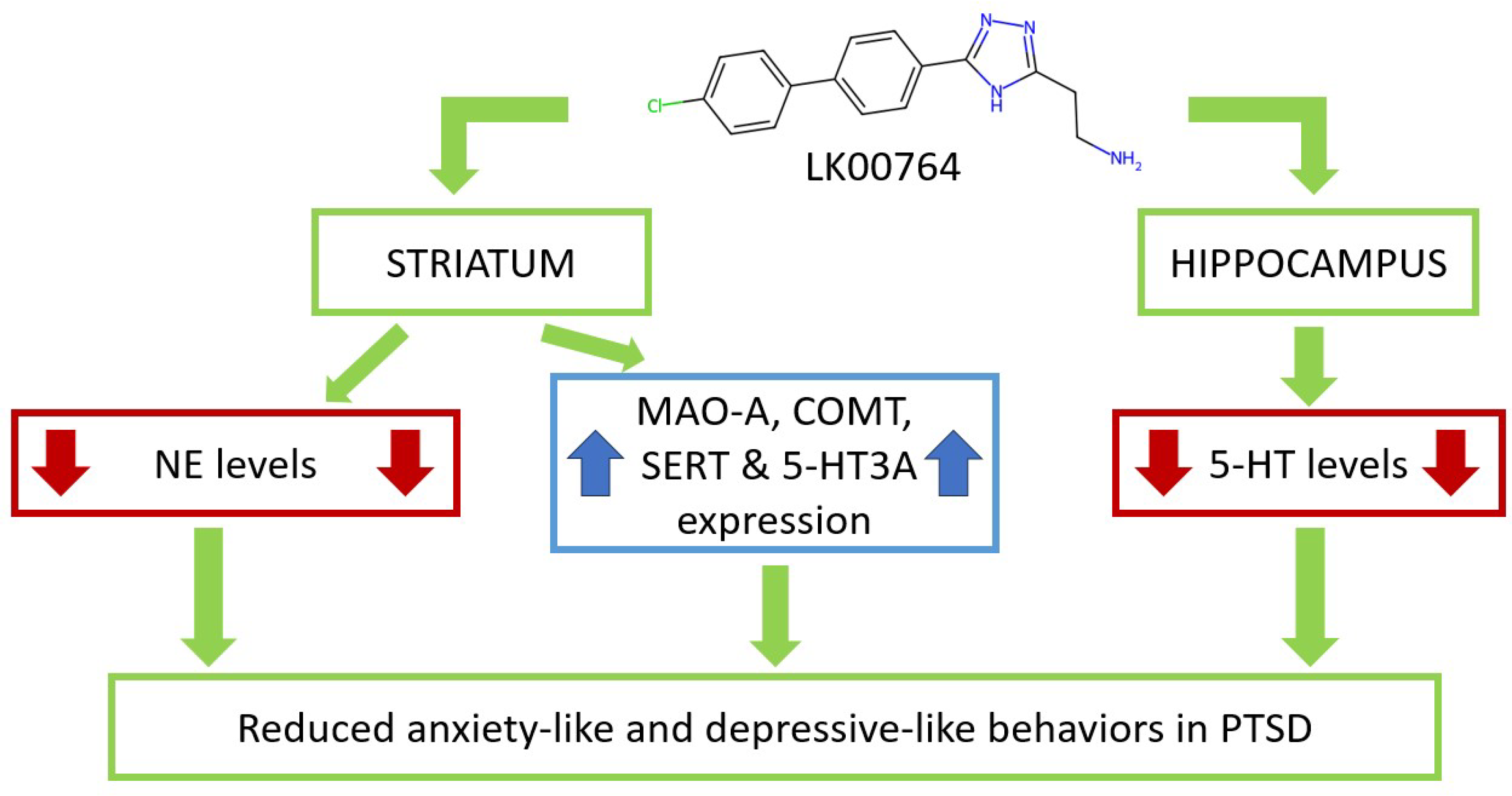 Biomedicines 13 02972 g008