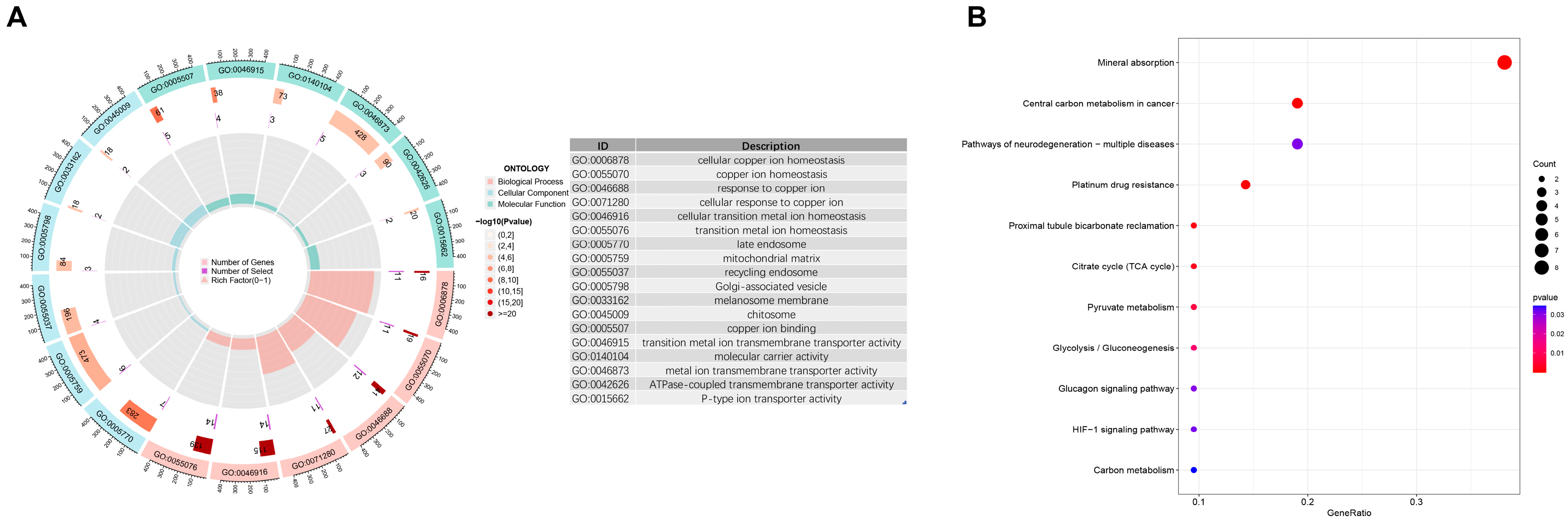 Biomedicines 13 02983 g003 Biomedicines 13 02983 g003