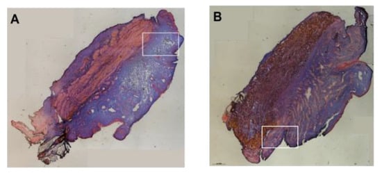 Biomedicines 13 02986 g0a3