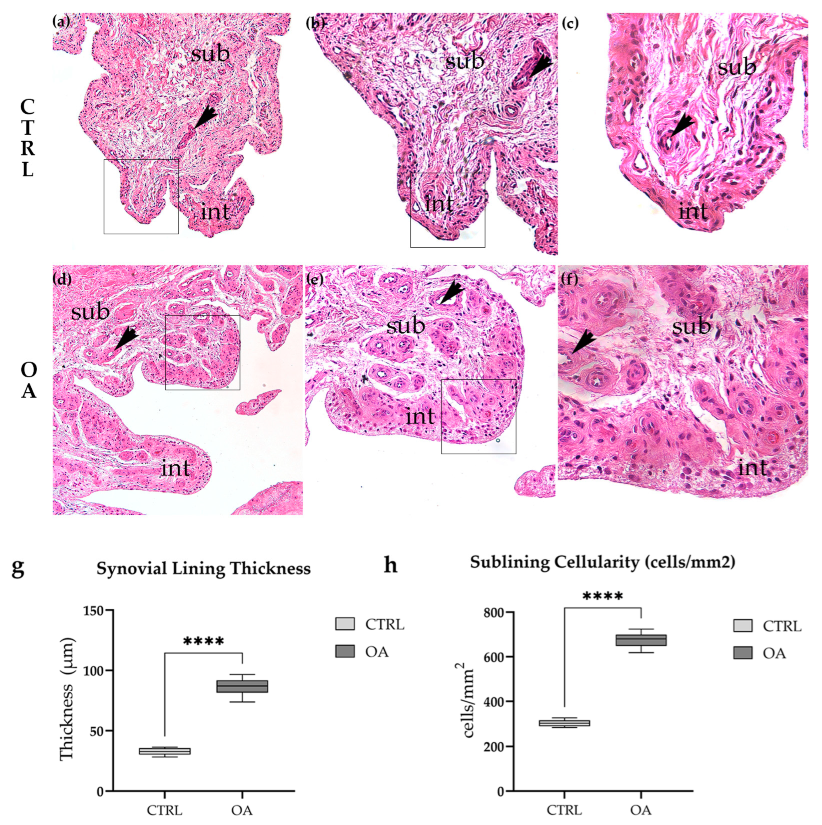 Biomedicines 13 02992 g001