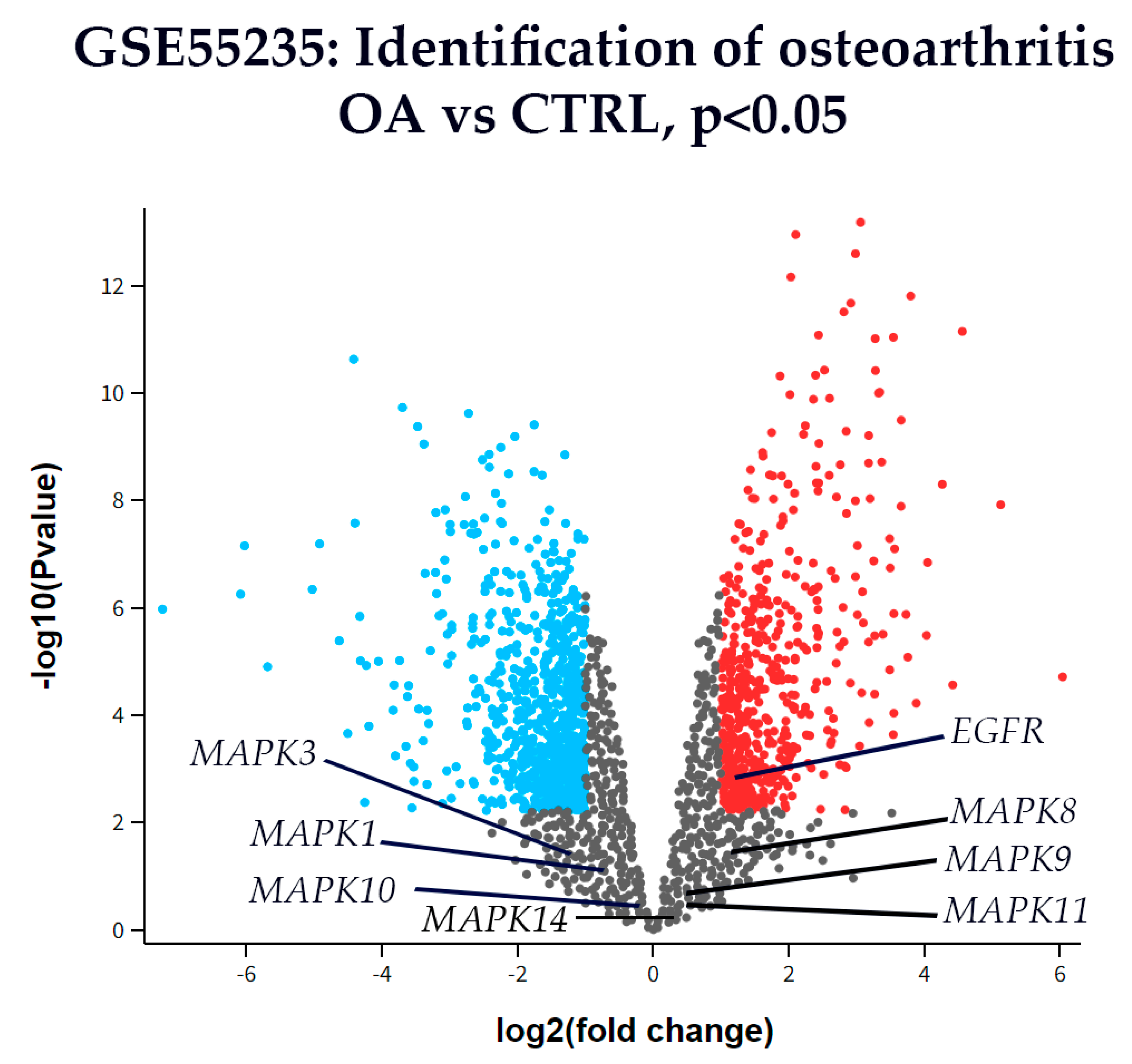 Biomedicines 13 02992 g007