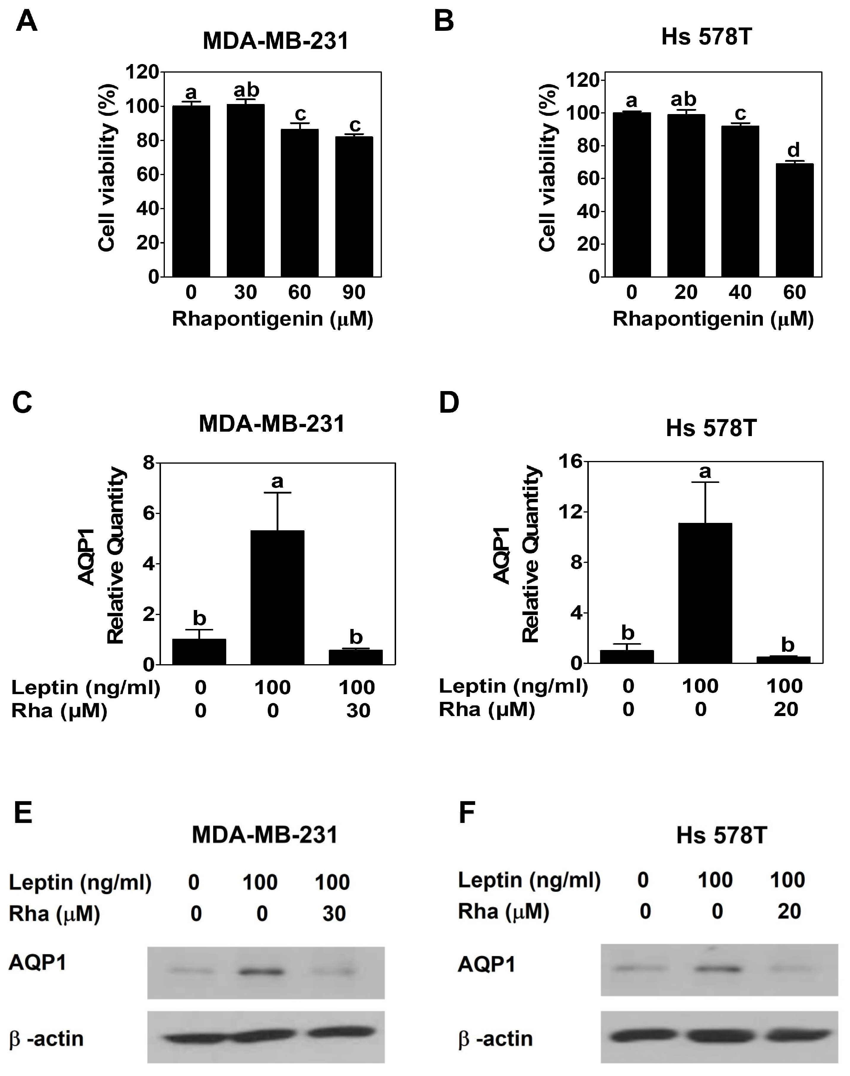 Biomedicines 13 03000 g001