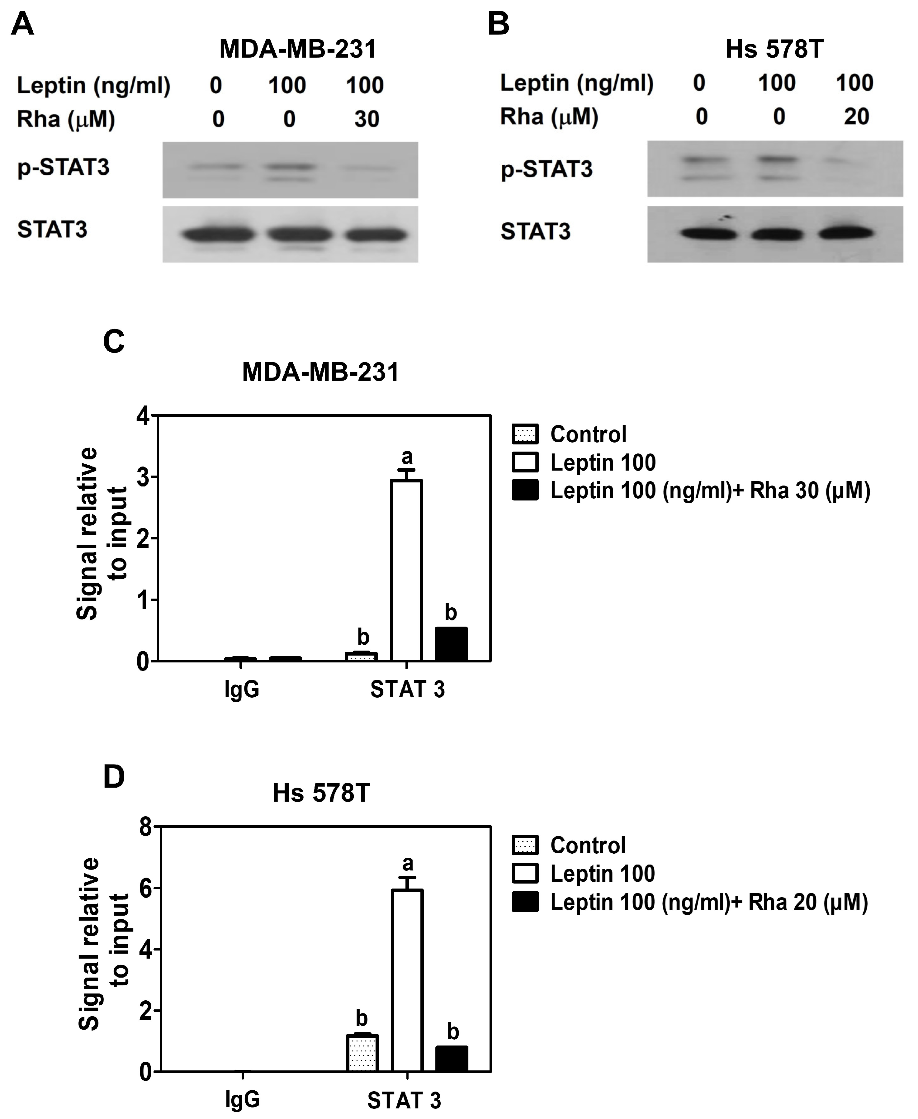 Biomedicines 13 03000 g002